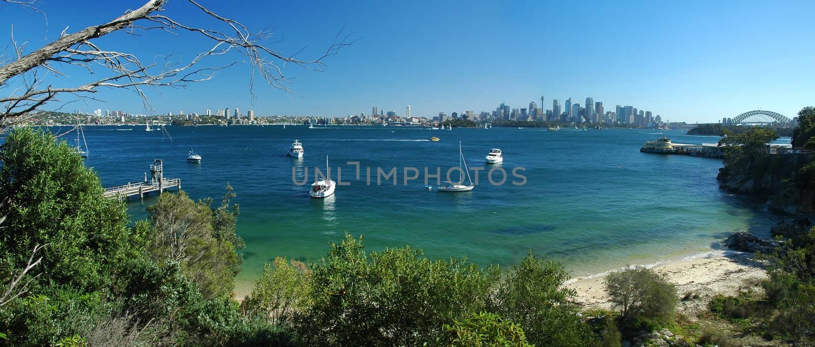 sydney panorama, opera house, harbour bridge and sydney tower in distance, yachts in foreground