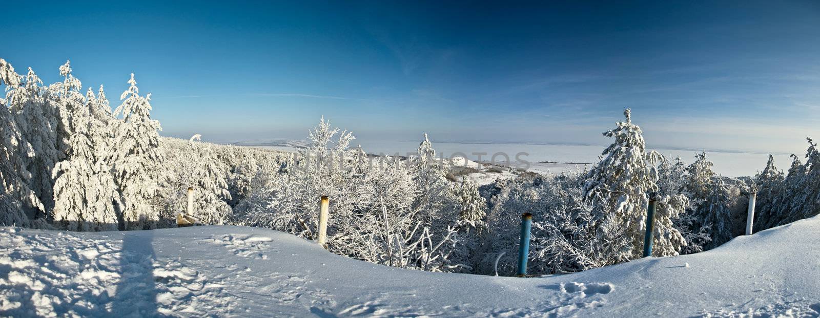 Winter mountain landscape. Snow-covered spruce and blue sunny skies.