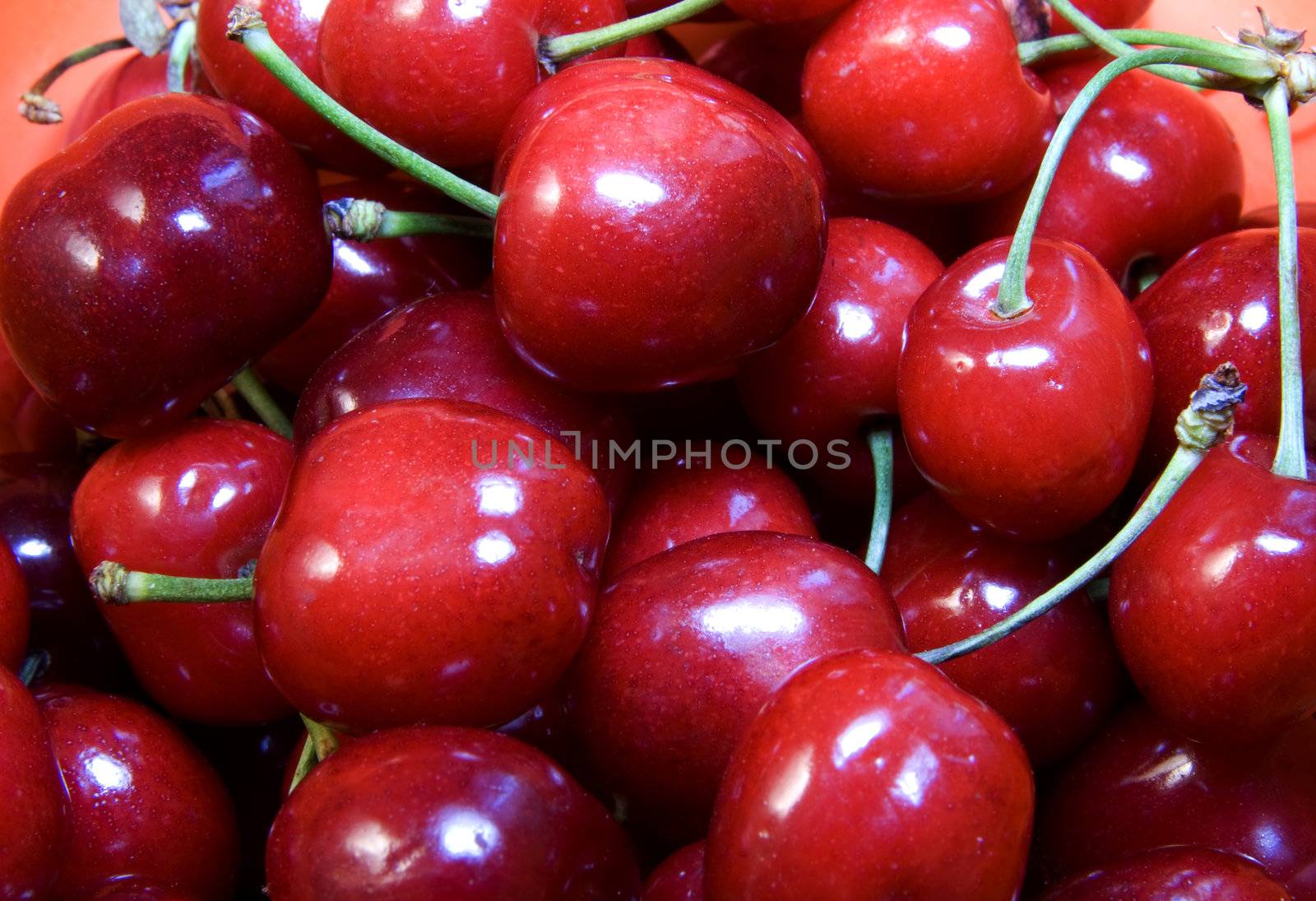 Close up of a bunch of red cherries