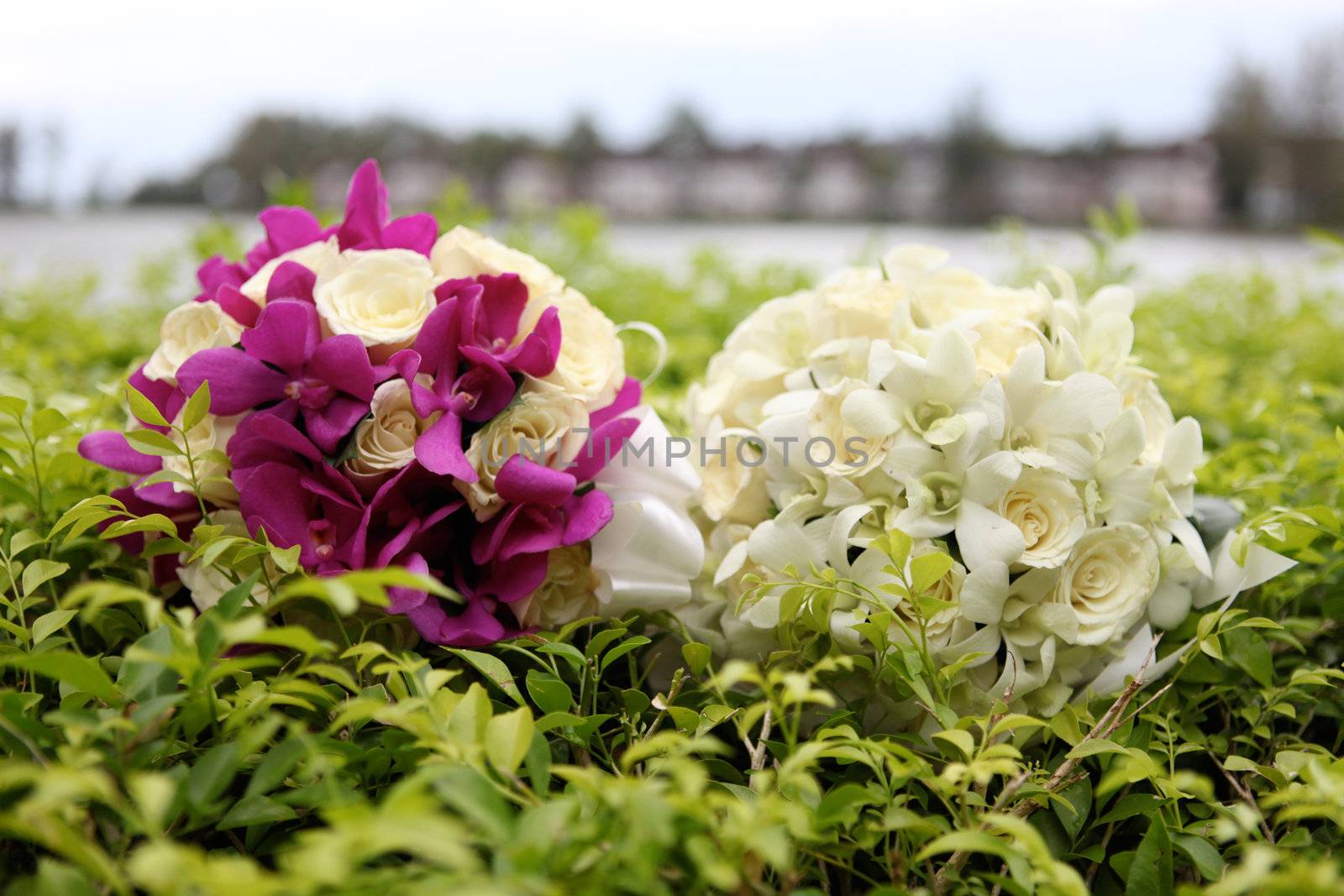 Wedding bouquet made of tropical flowers.