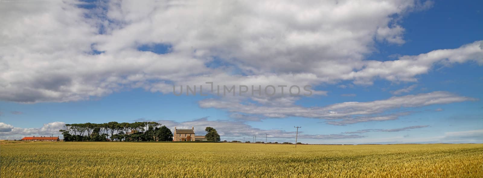 Arable farmland in East Lothian Scottland.