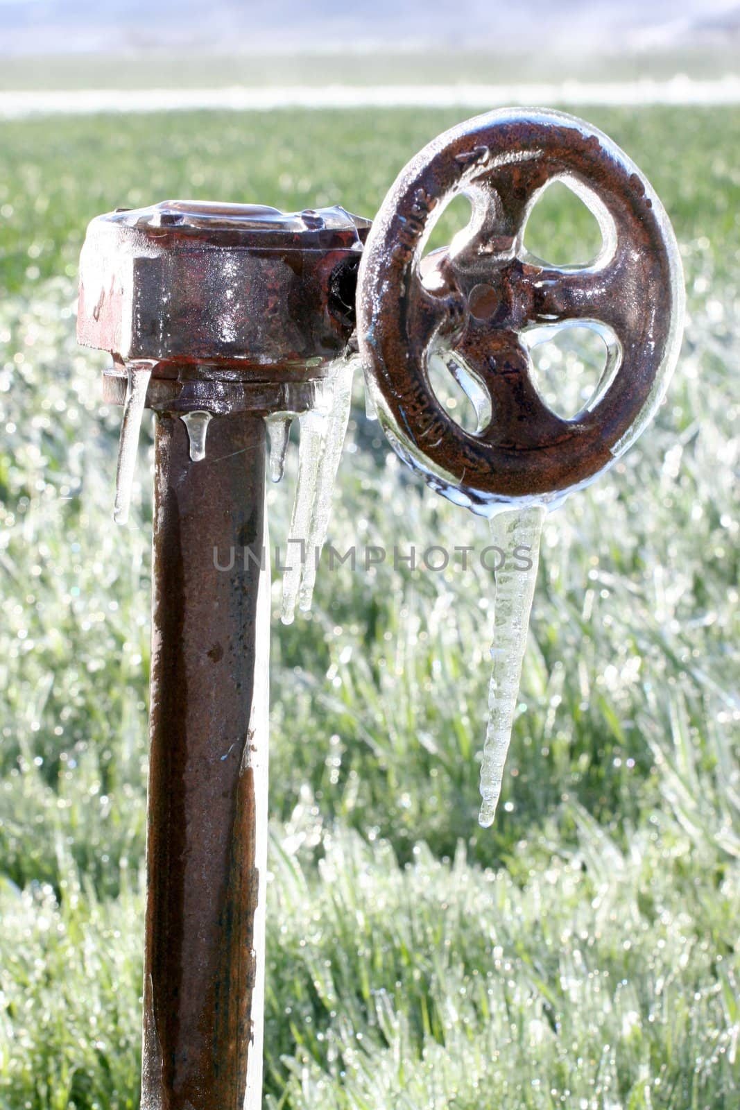 Irrigation valve frozen in early springtime
