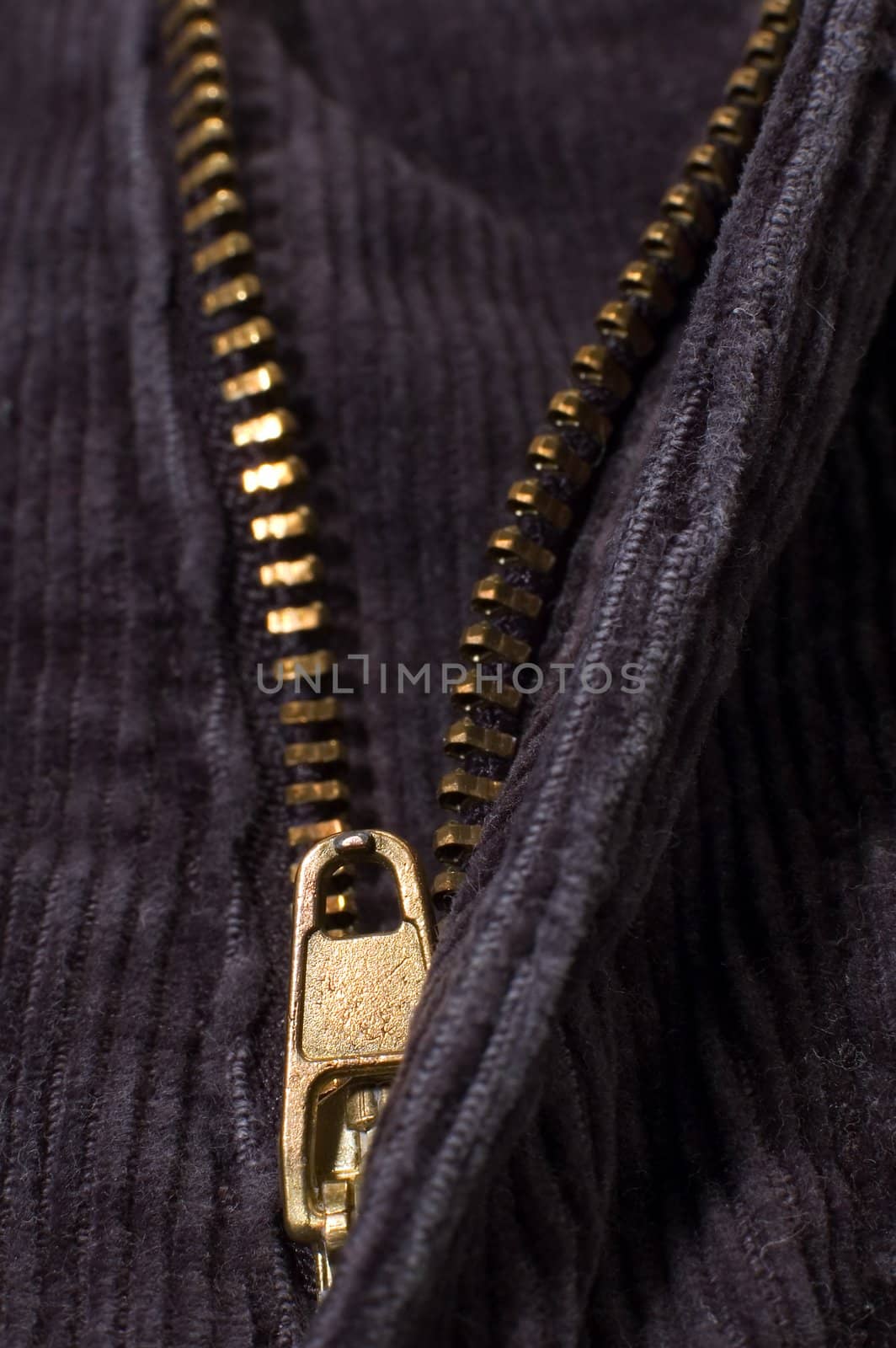 golden zipper detail photo, black jeans