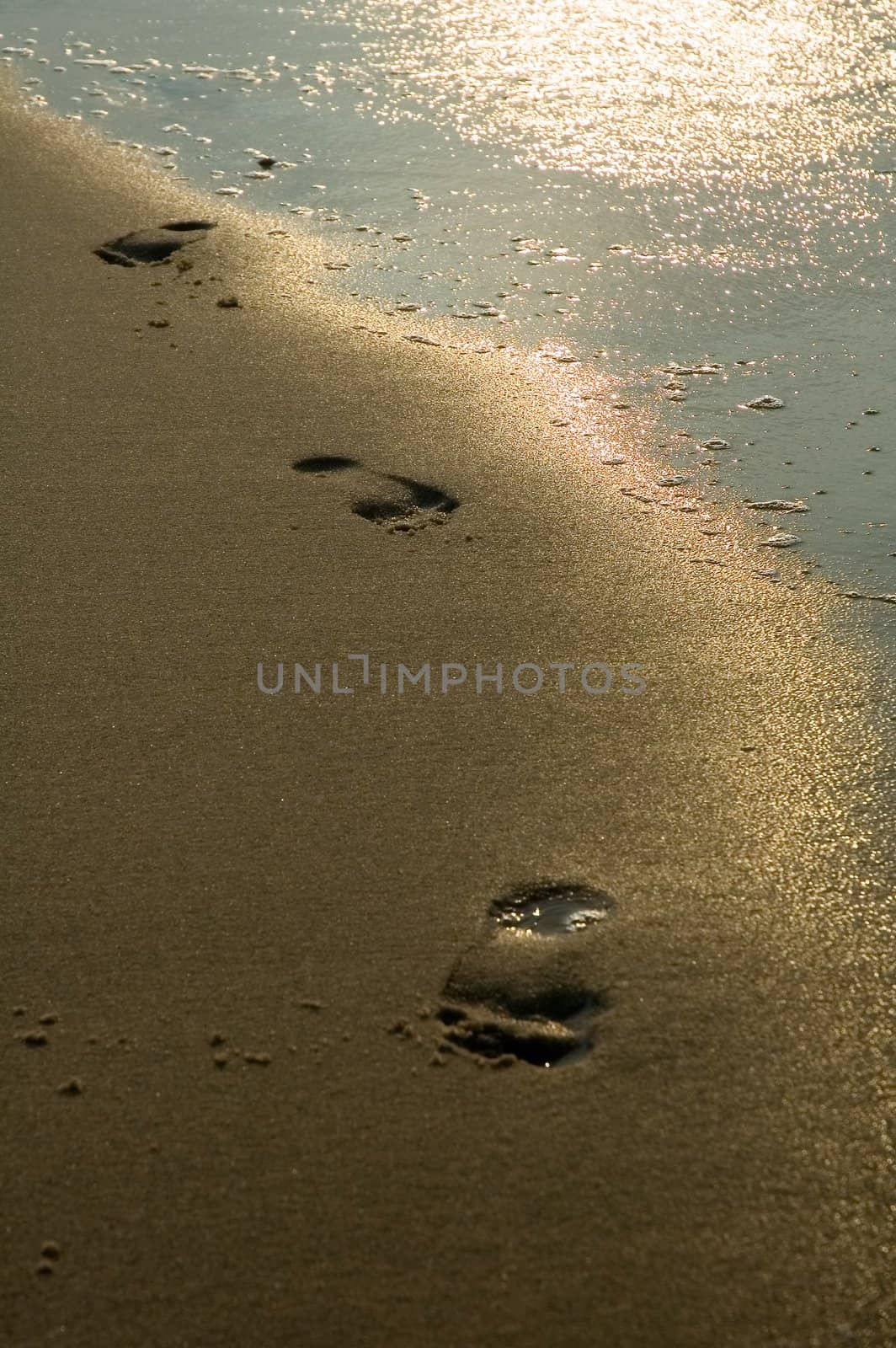 beach footprints by rorem