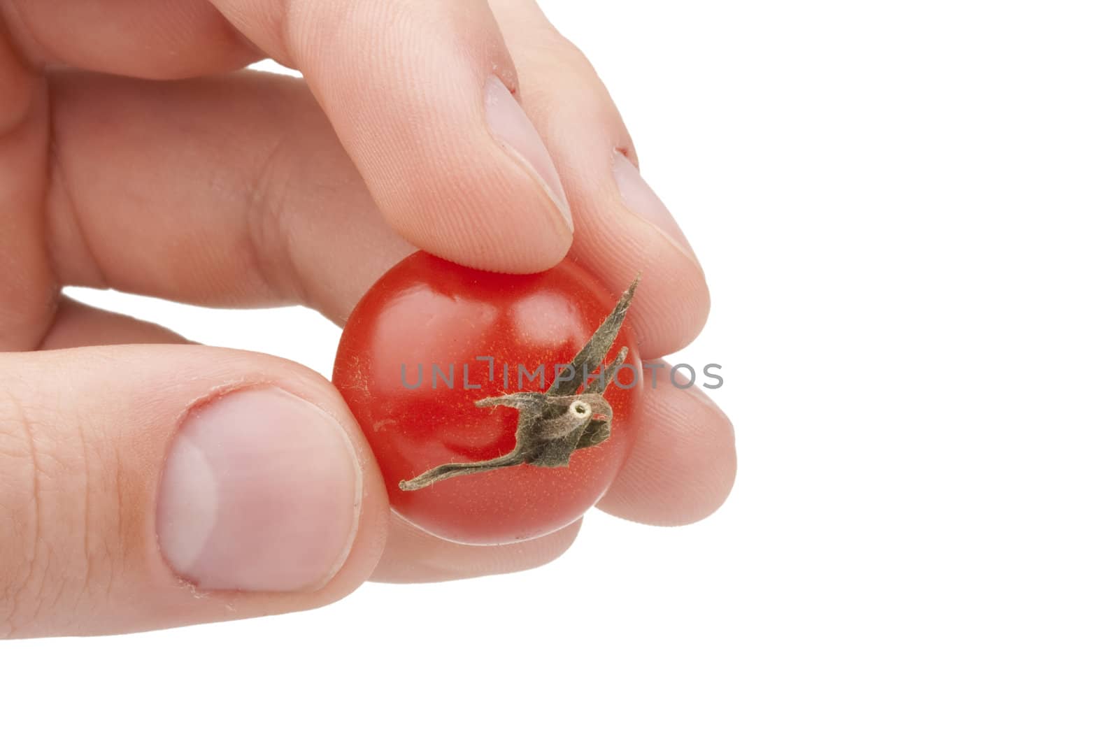 Small red tomato by VIPDesignUSA