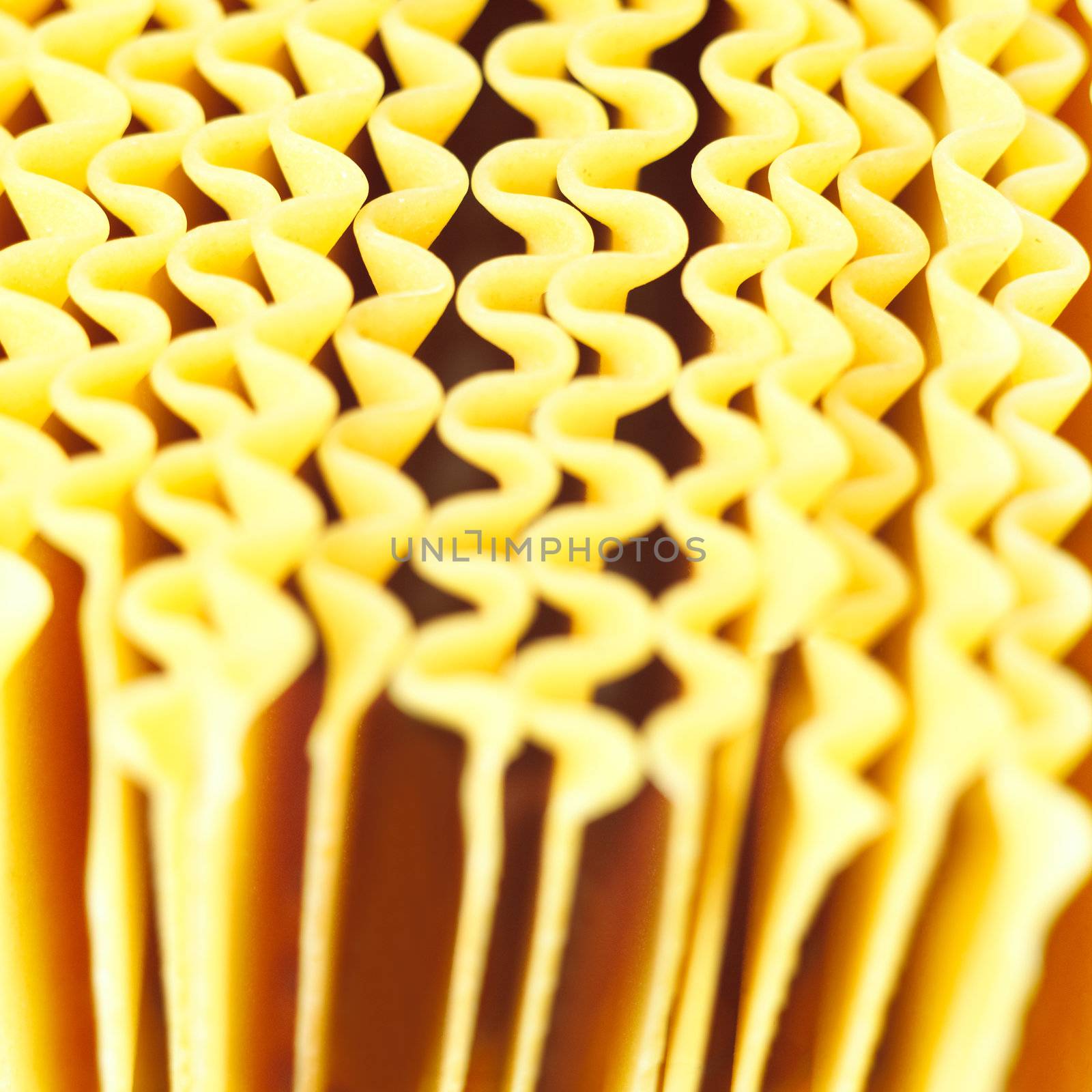 close up of raw lasagna pasta sheets