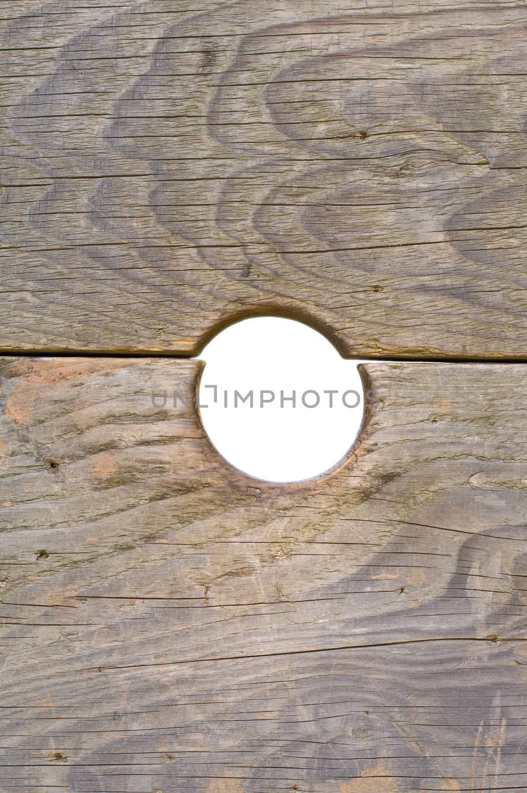 Close-up of a board with a knothole