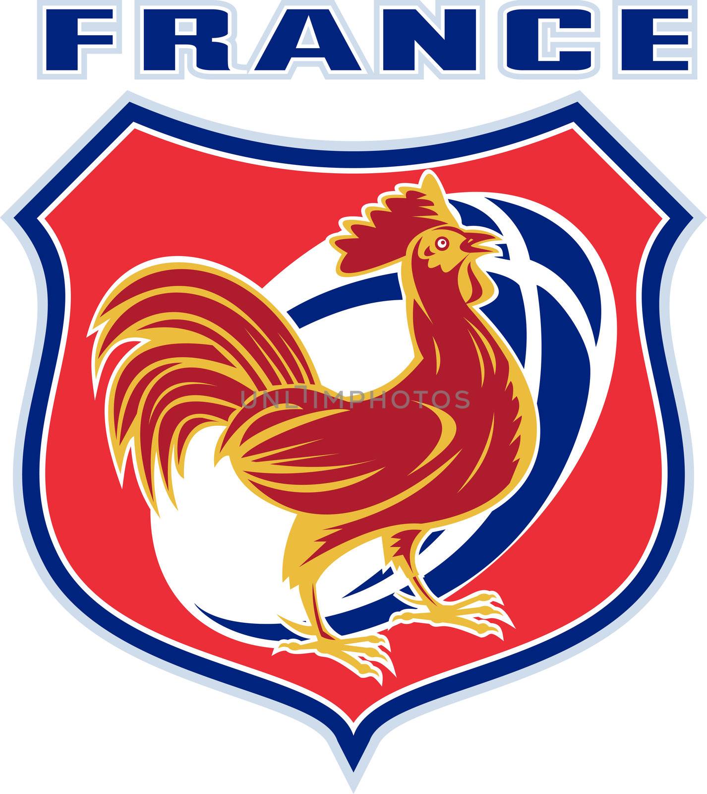 illustration of a french sport sporting mascot rooster cockerel cock set inside shield and rugby ball shape with words "france"