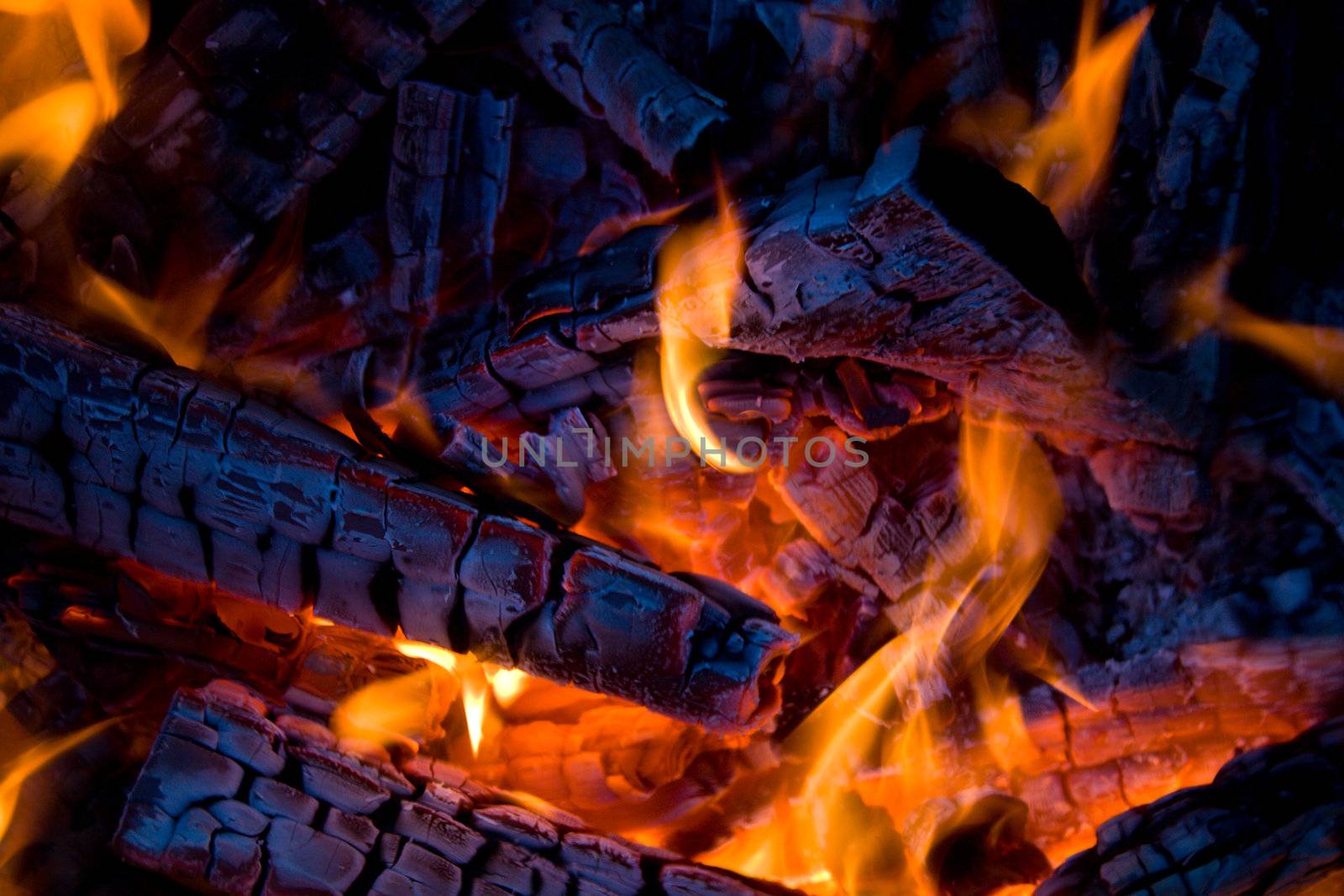 close-up firewood in orange fire