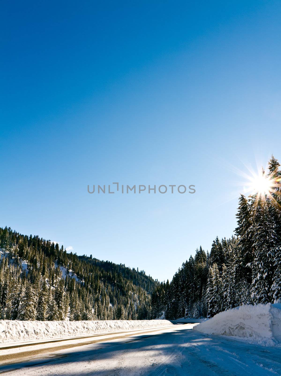Road covered in snow surrounded by trees and has a little bit of sun flare.