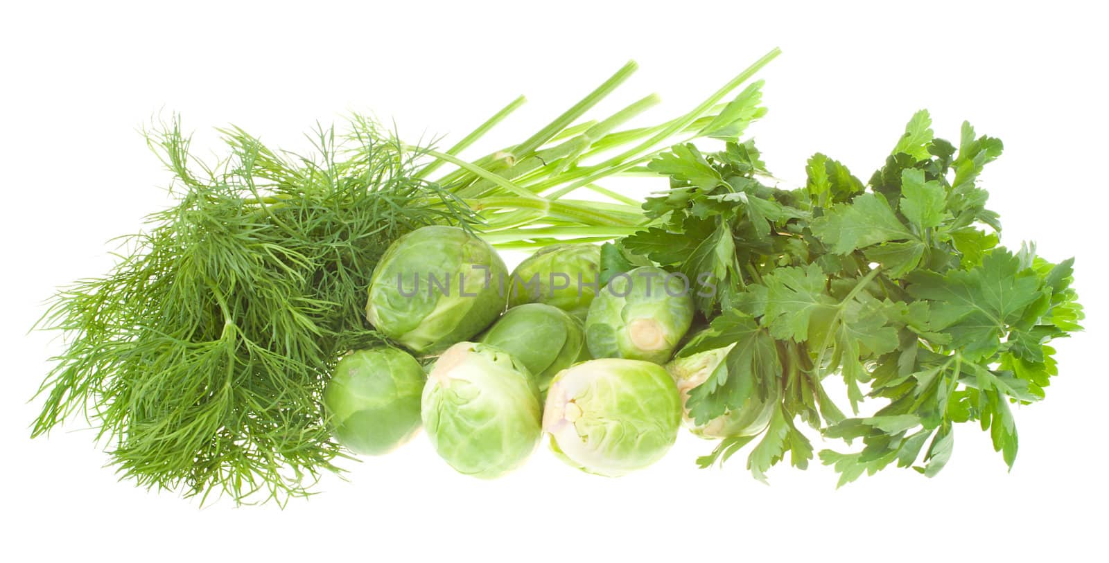 dill, parsley and brussels sprouts, isolated on white