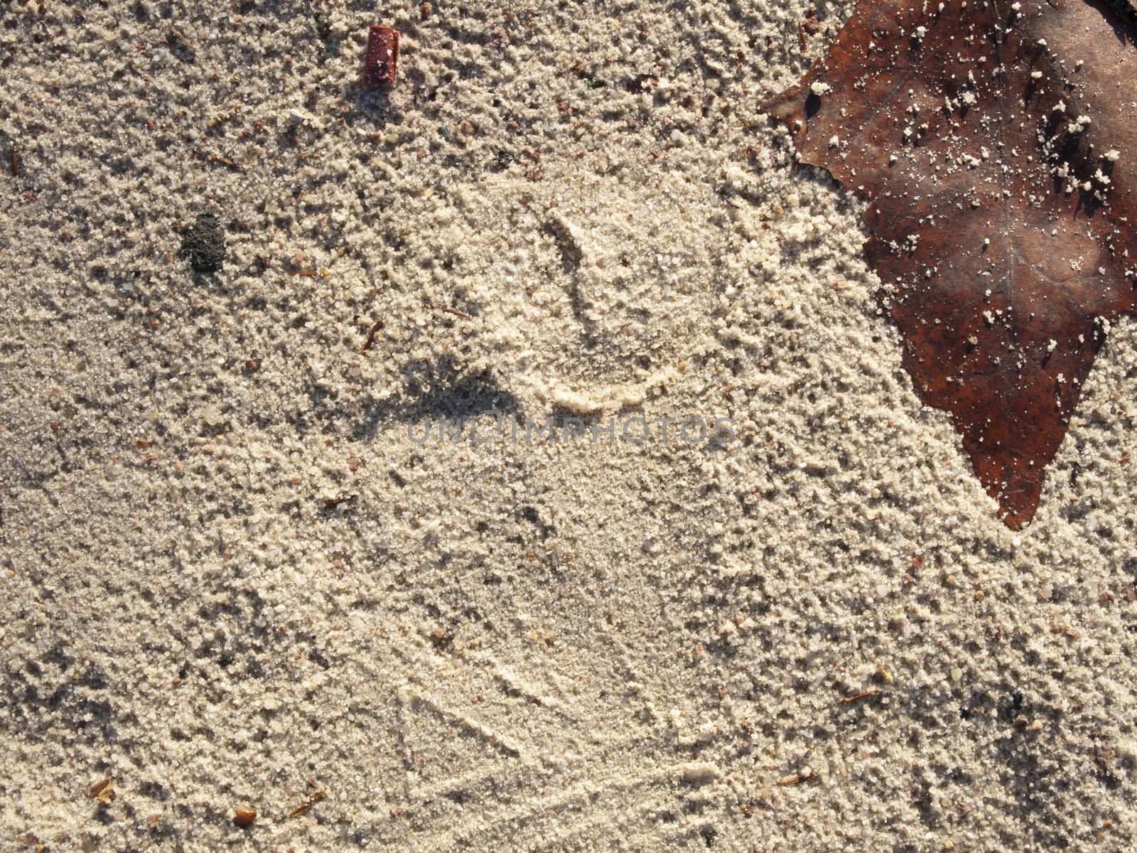 A sand texture. by jochenteschke9