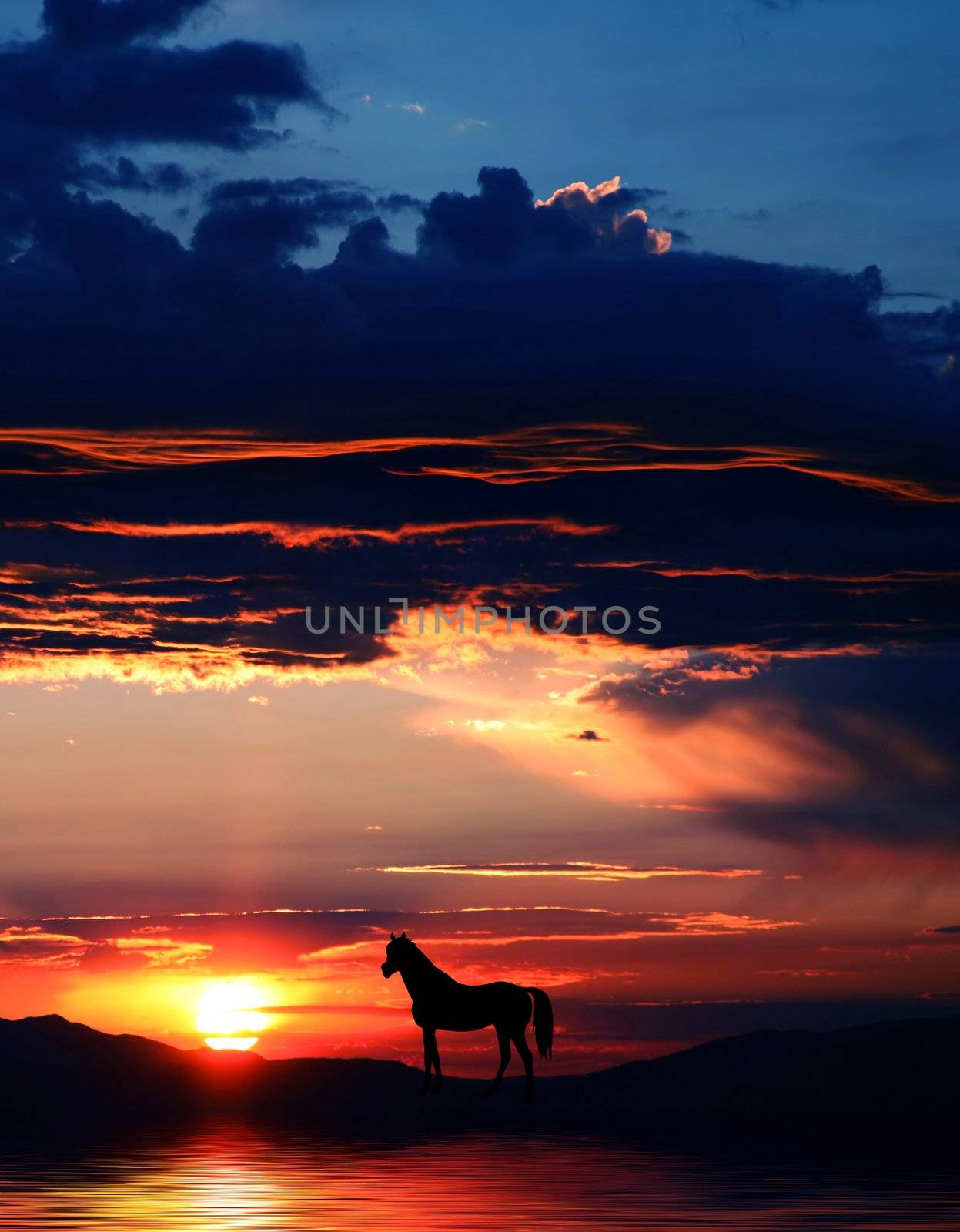 Beautiful mountains with horse silhouette and spectacular sunrise or sunset at Lake Tahoe in California and Nevada
