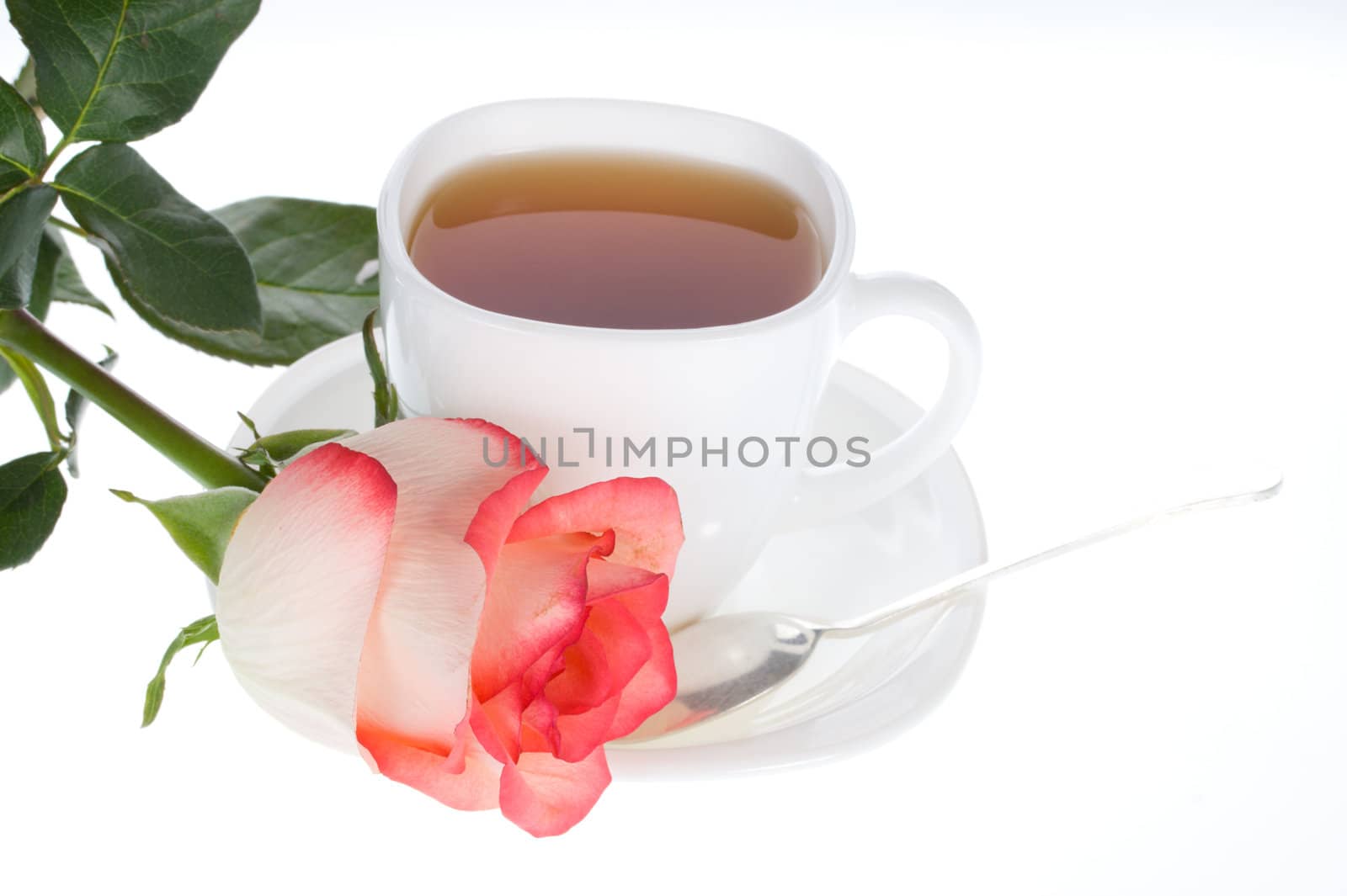 close-up rose and cup of tea, isolated on white