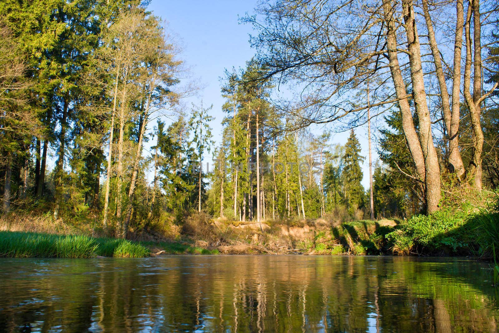 river in forest by Alekcey