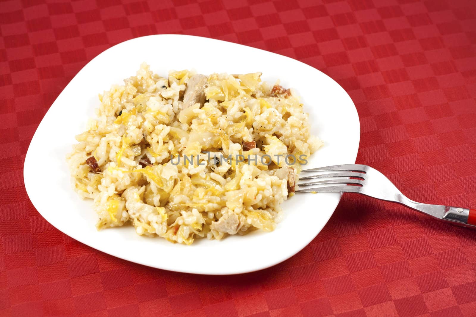 Traditional Serbian food (Podvarak) with cabbage, rice and meat.