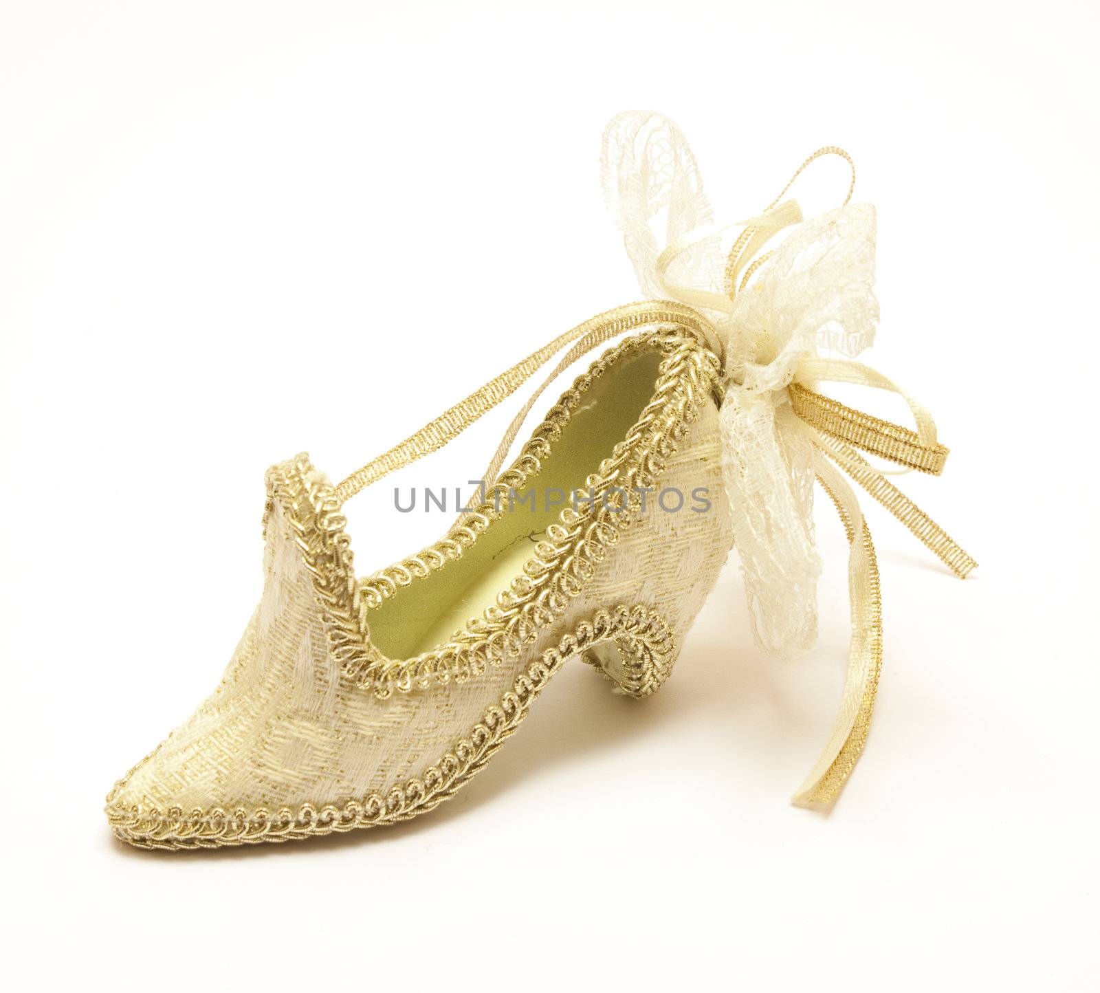 Fancy women shoes over the white background