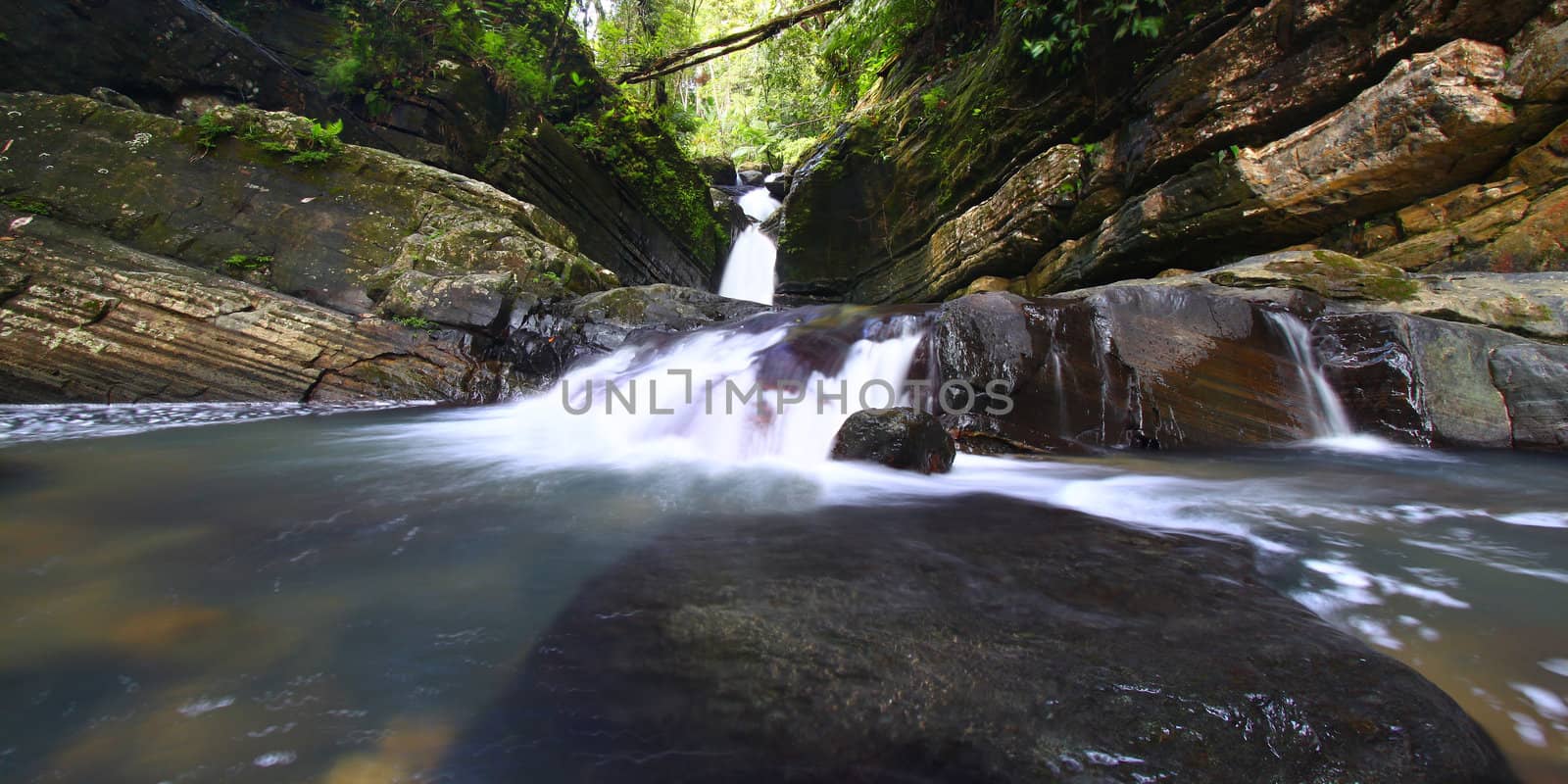 A tranquil rainforest cascade above La Mina Falls in Puerto Rico.