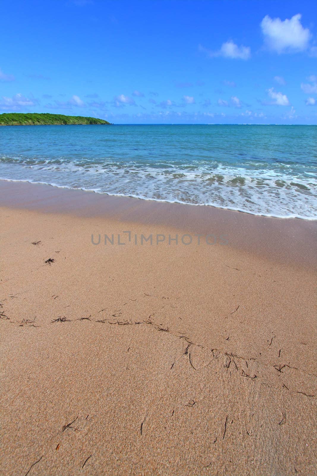 The wonderful Seven Seas Beach near Fajardo in Puerto Rico.