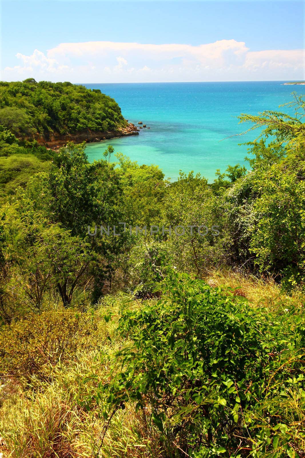 The Caribbean coastline at Guanica Dry Forest Reserve - Puerto Rico.