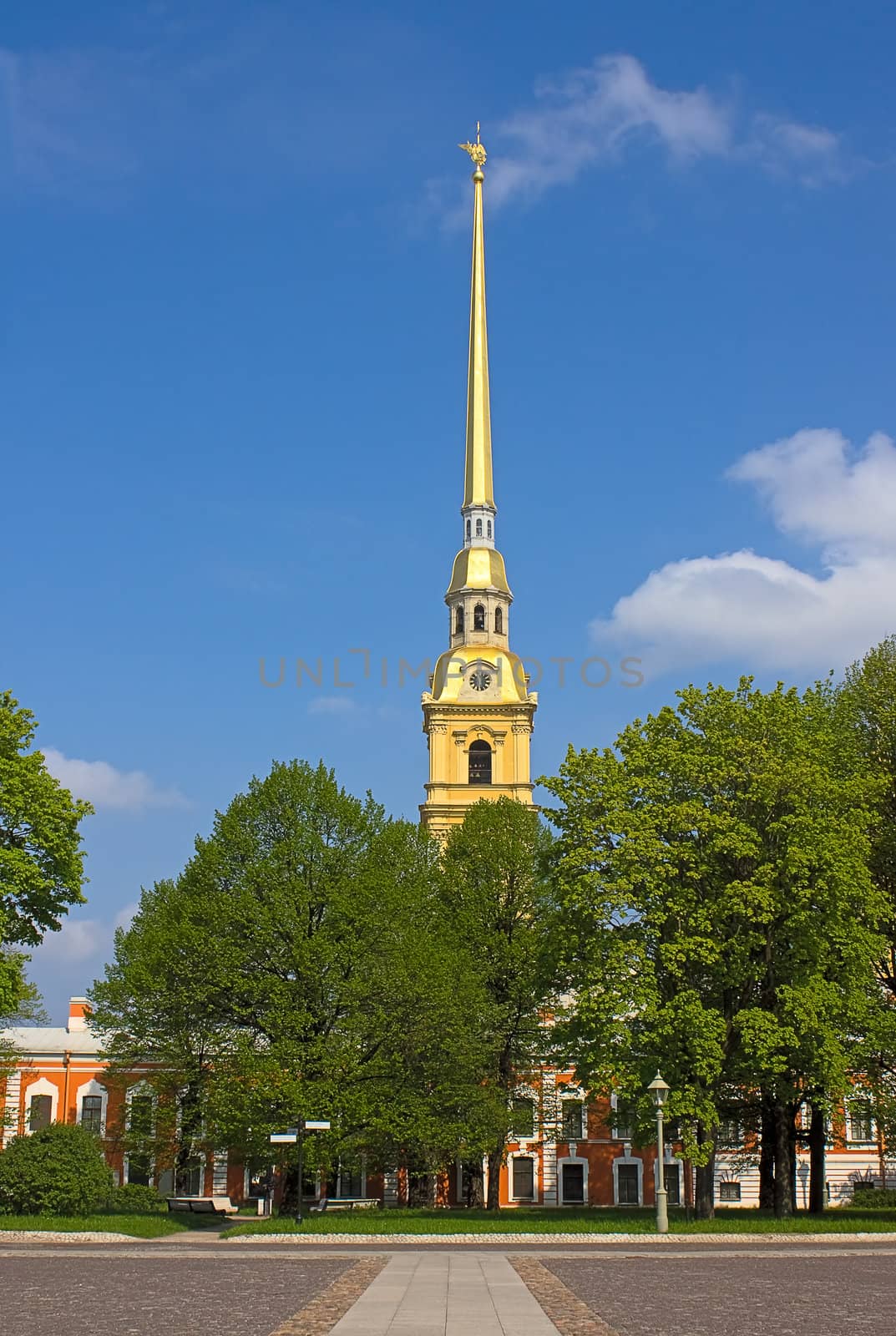 View of  Peter and Paul Kathedral for  trees,Saint Petersburg , Russia.