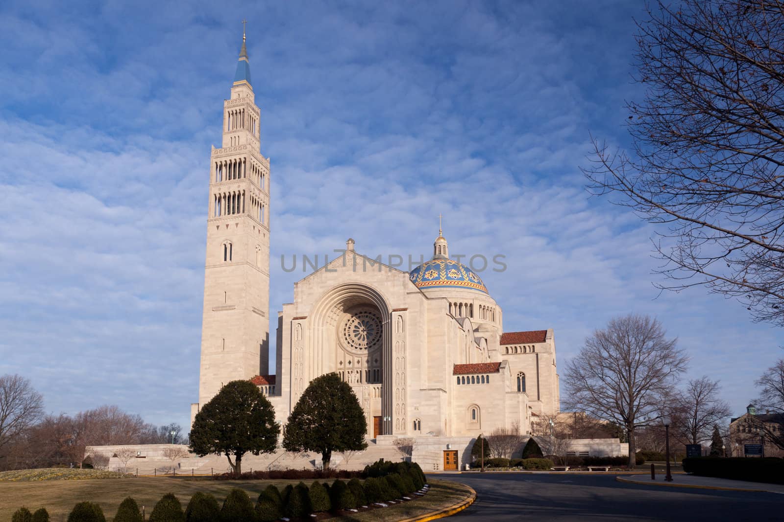 Basilica of the National Shrine of the Immaculate Conception by steheap