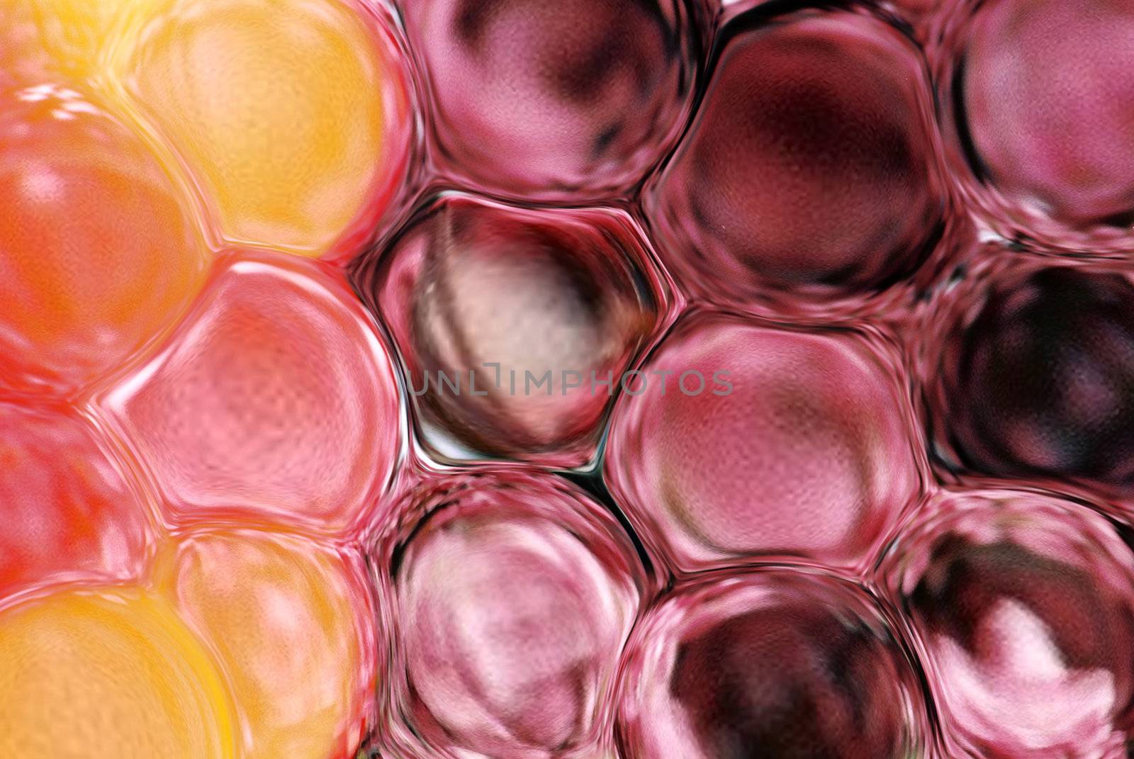 closeup of red and orange bubble background