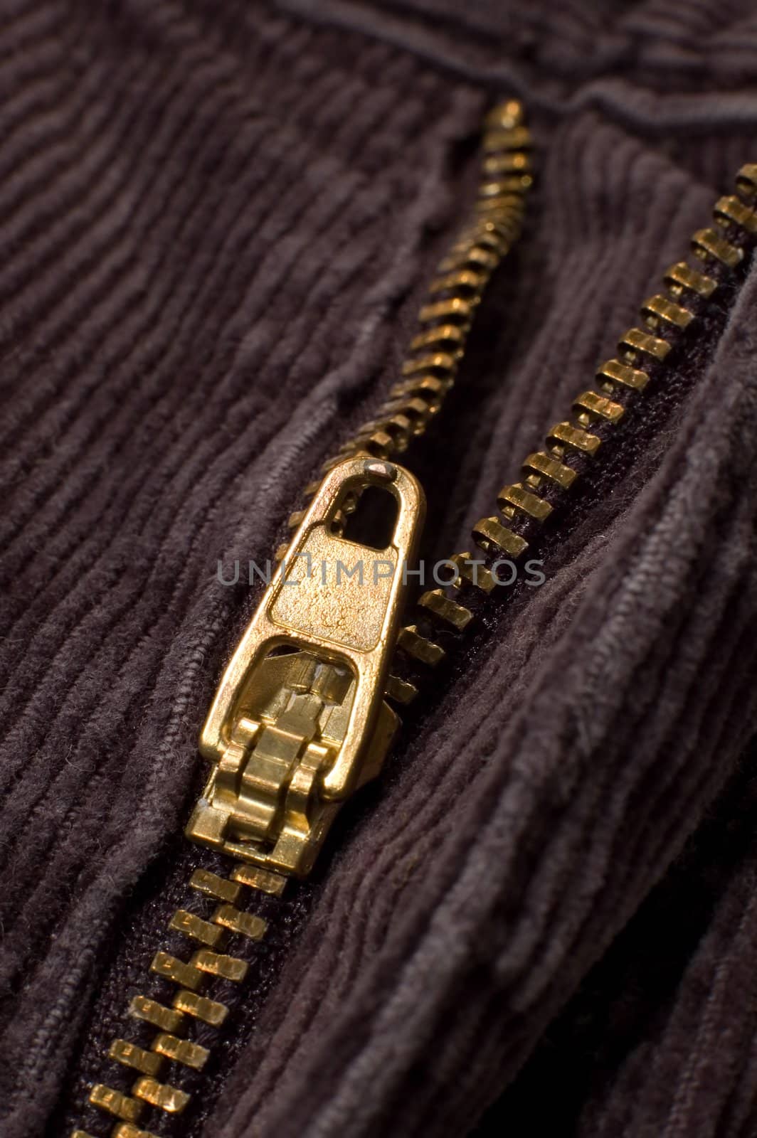 zipper detail by rorem