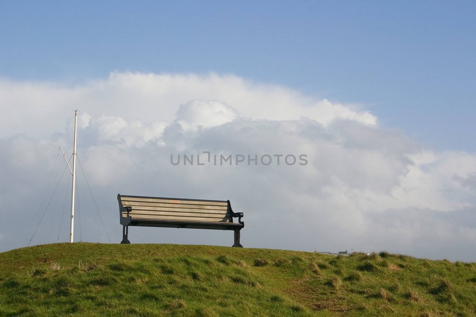 lonely bench by leafy