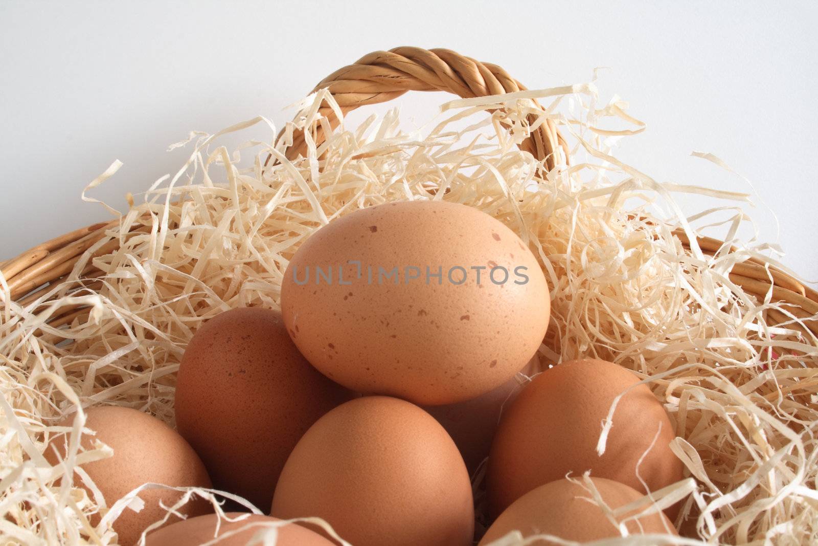 eggs in a basket by leafy