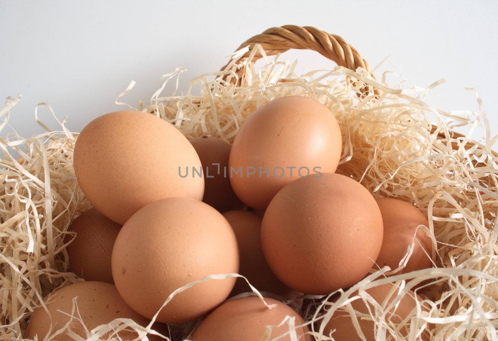 clutch of eggs in a basket filled with shavings