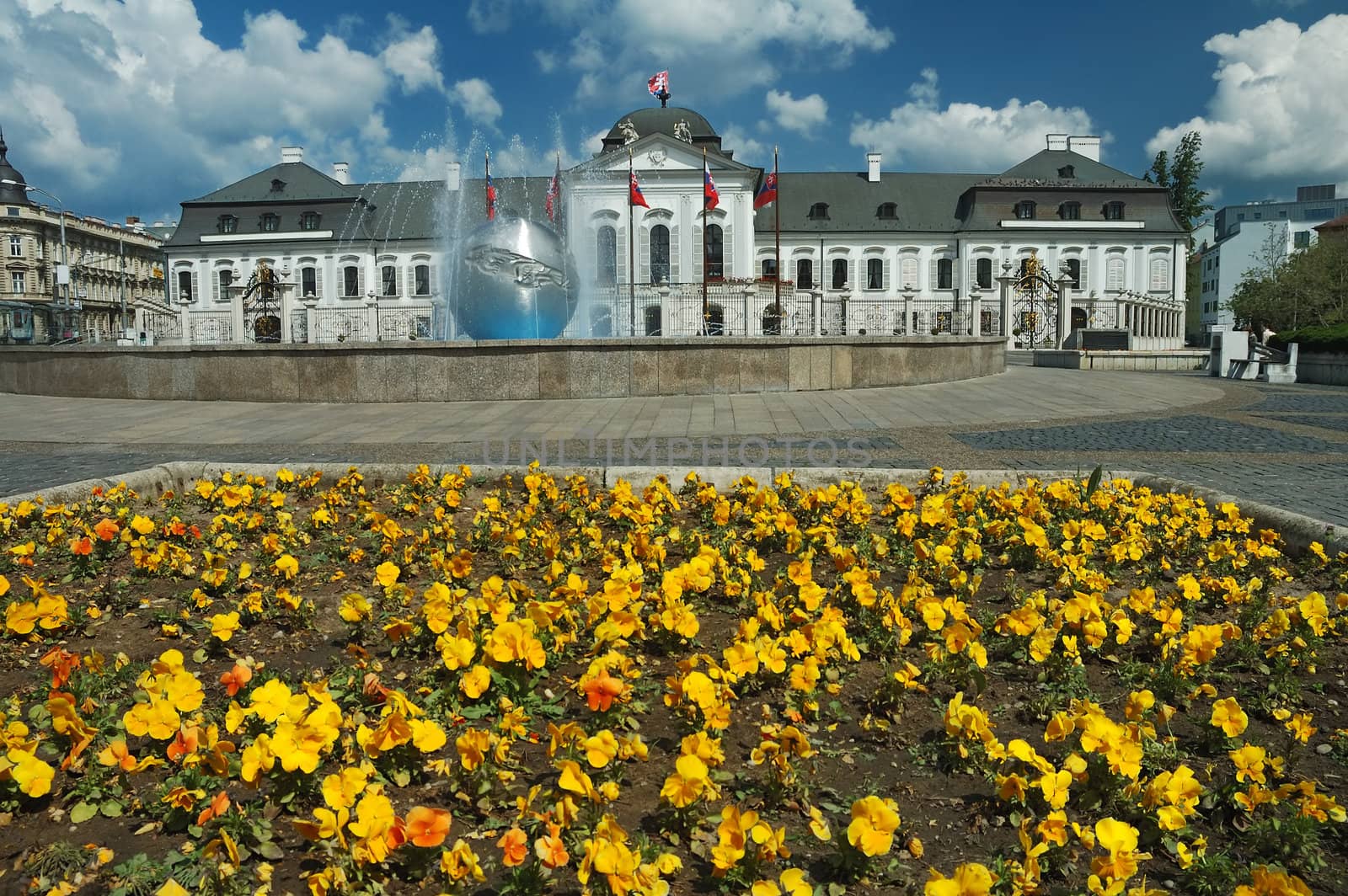 Grassalkovichov palace. yellow flowers in foreground, nice sunny day