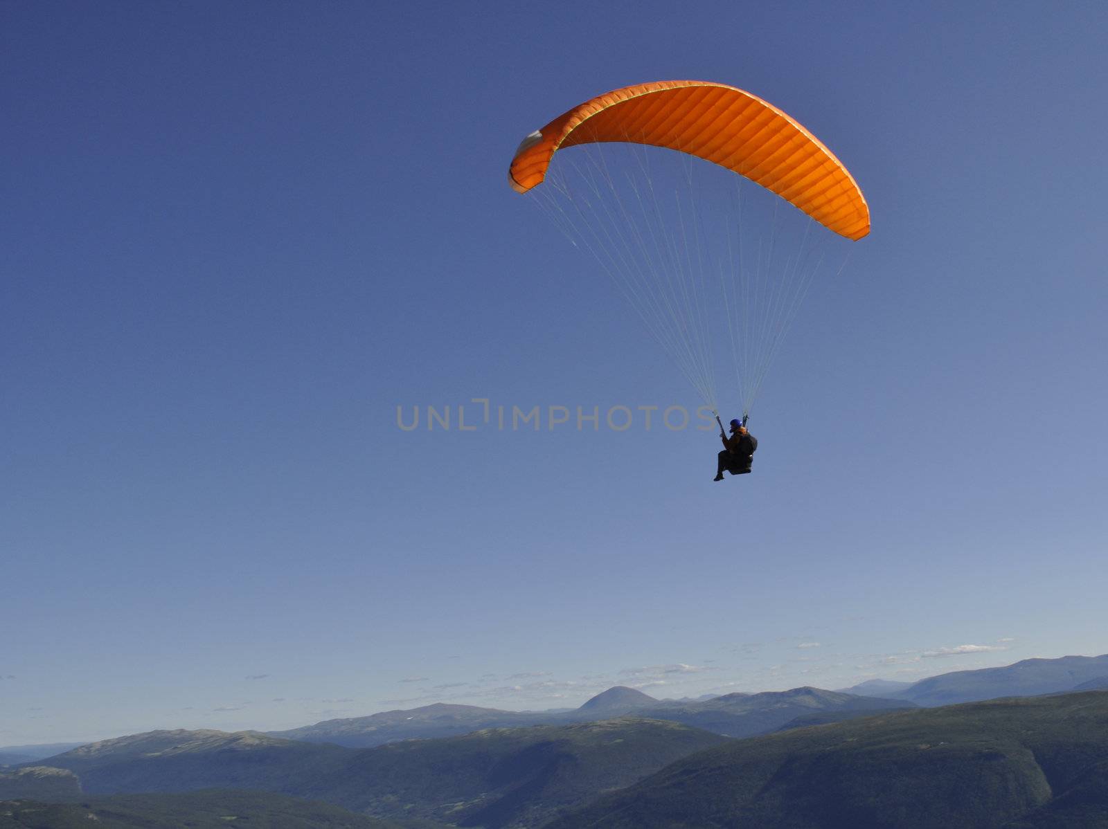 paraglider in the air