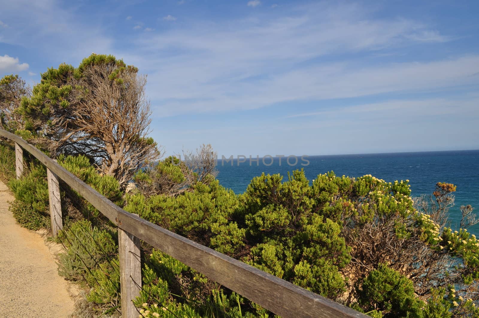 Sunny landscape with ocean and footpath by dimkadimon
