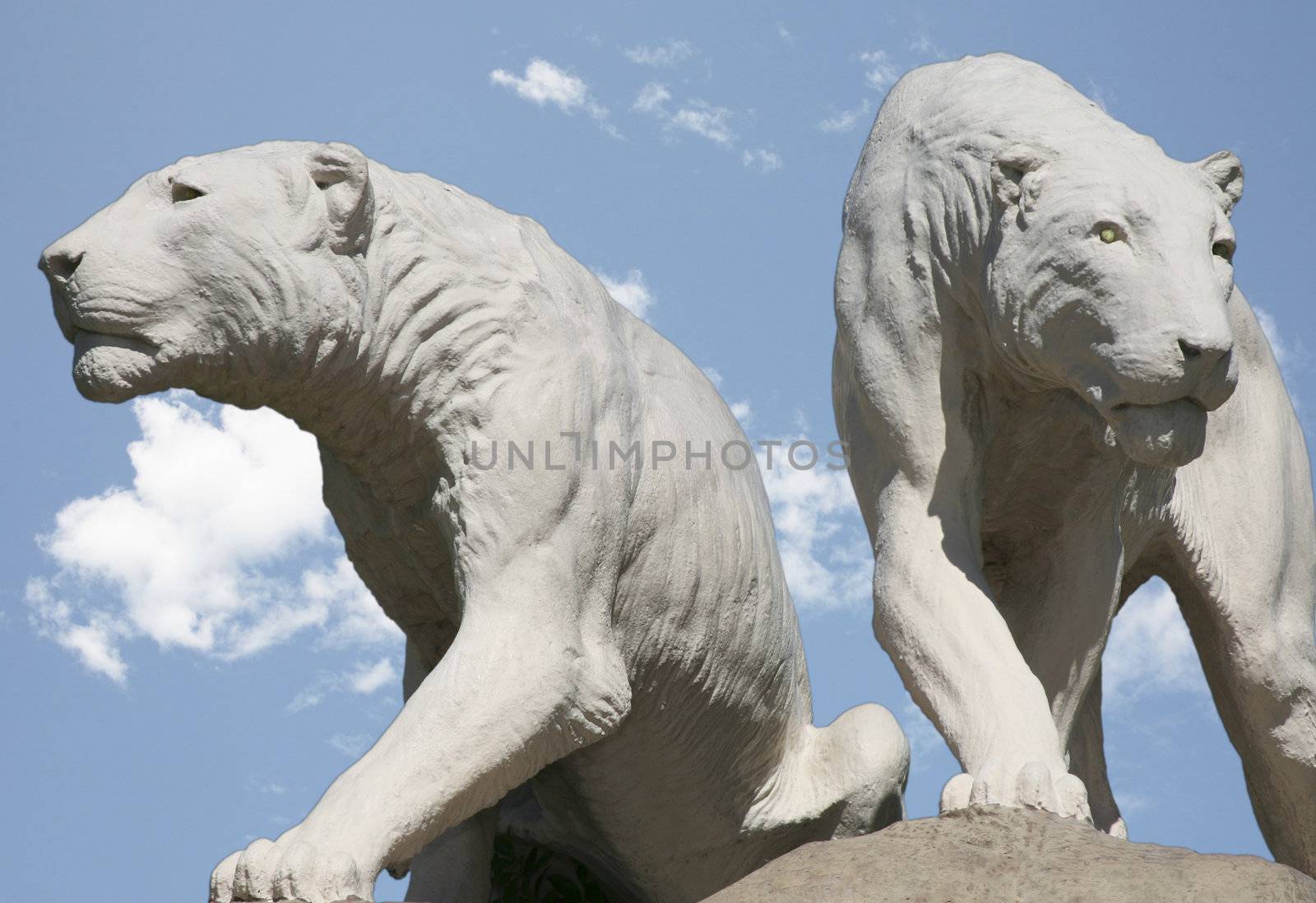 Lioness statue with pretty sky by scrappinstacy