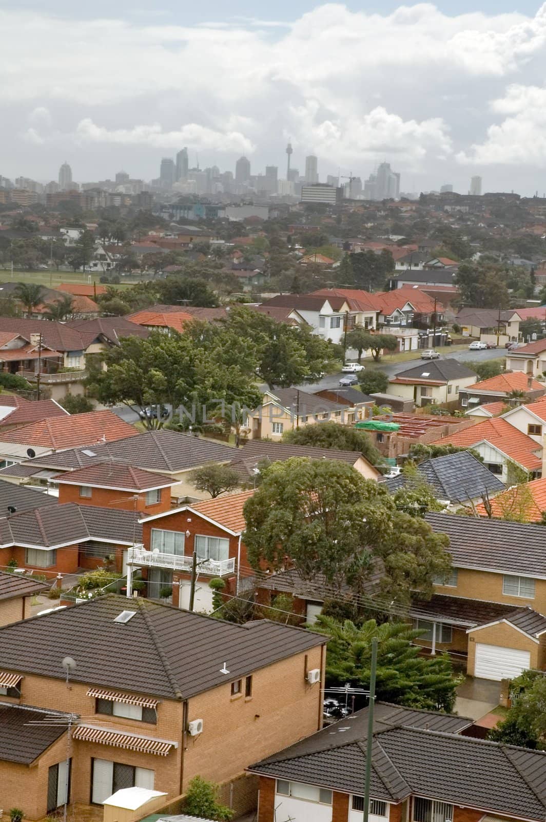 sydney cbd in distance, photo taken from maroubra junction