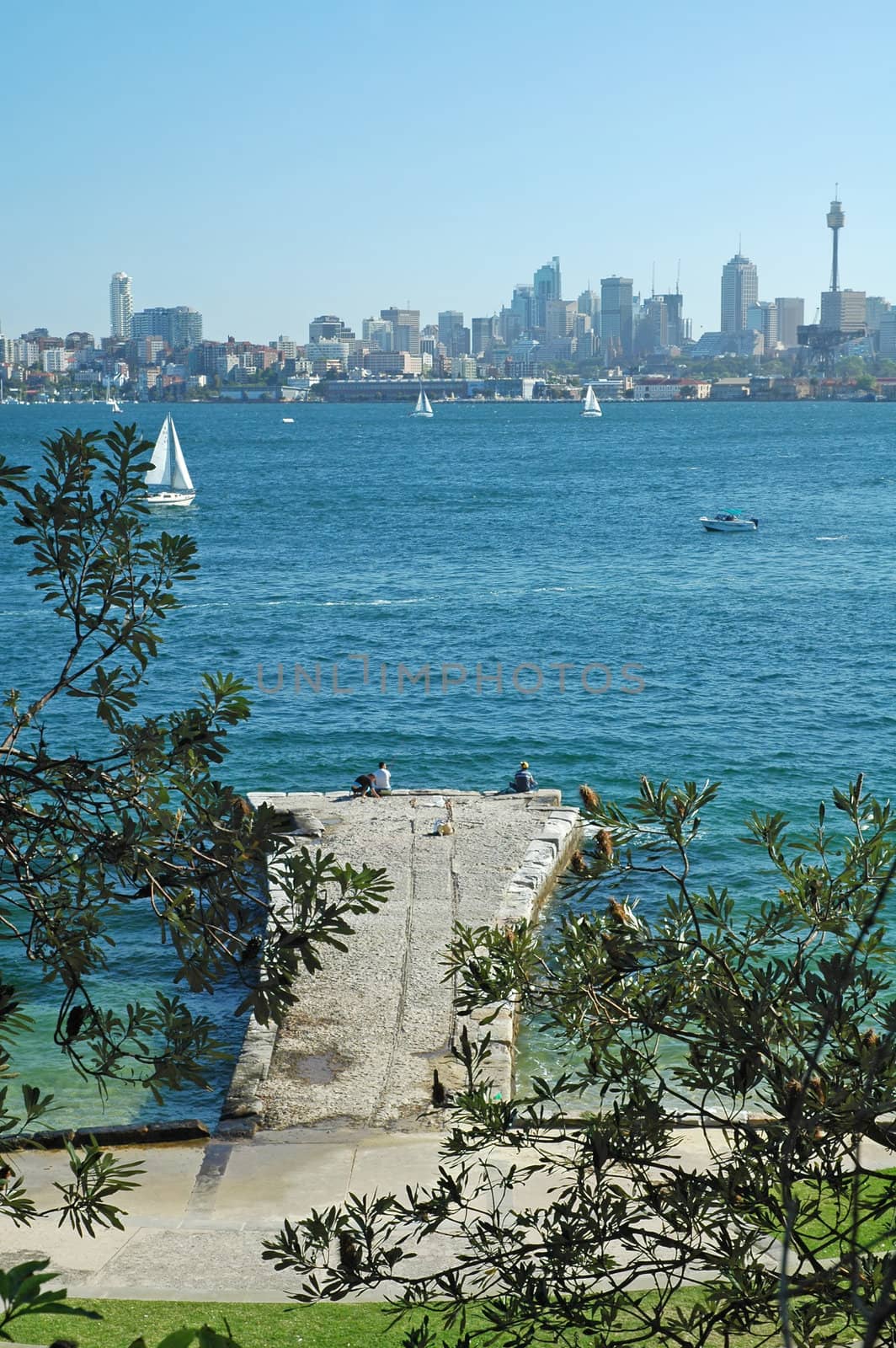 sydney cbd in distance, vertical photo, nice sunny day,