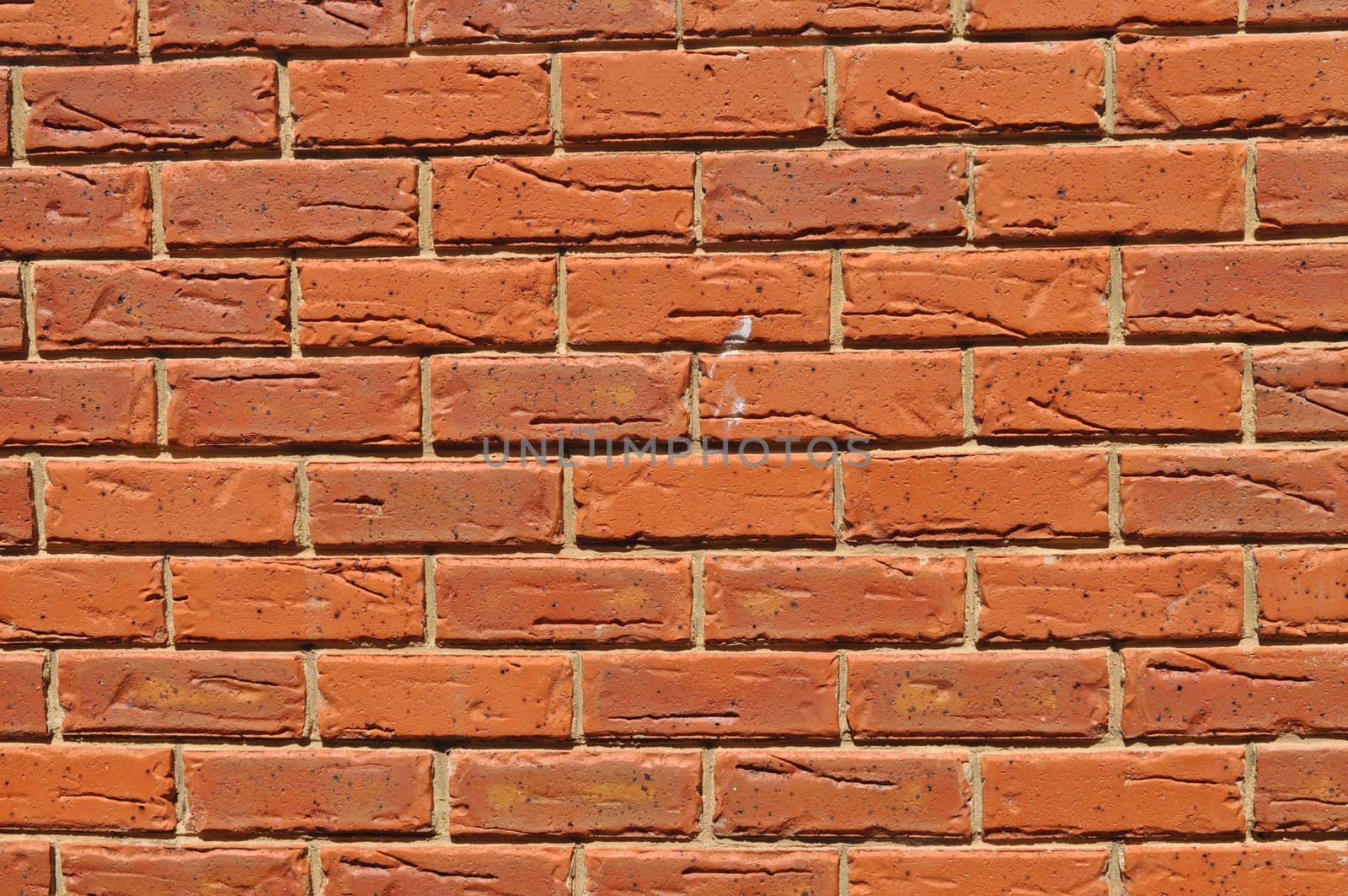 Wall from the bricks. Background, texture by dimkadimon