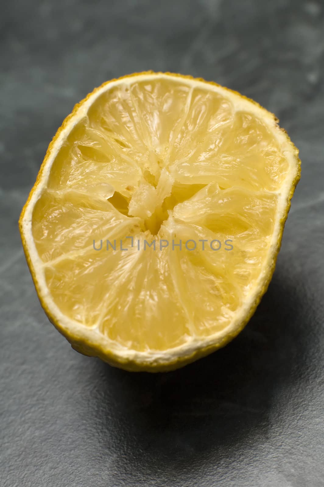 lemon by rorem