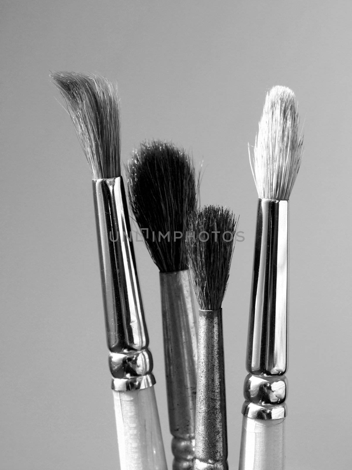 Paintbrushes tools for oil or tempera or watercolor painting