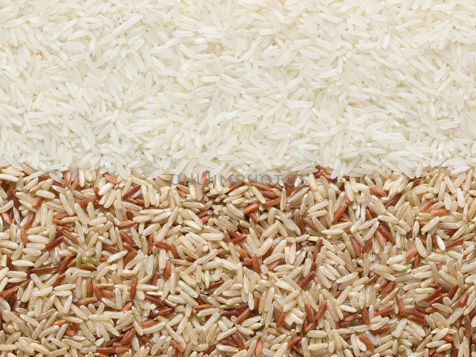 close up of a heap of polished and unpolished rice