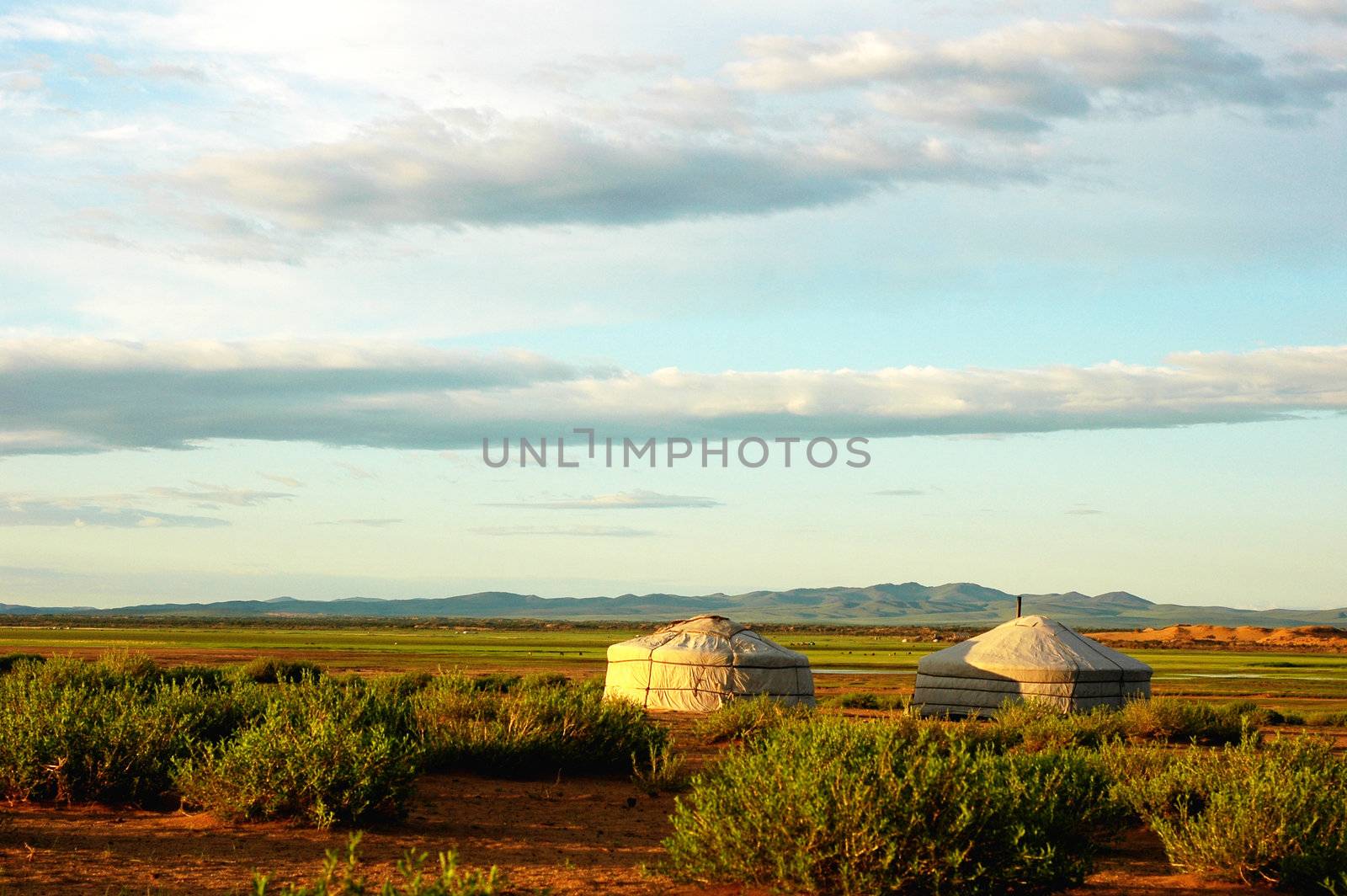 Landscape of gers on the grasslands of Mongolia