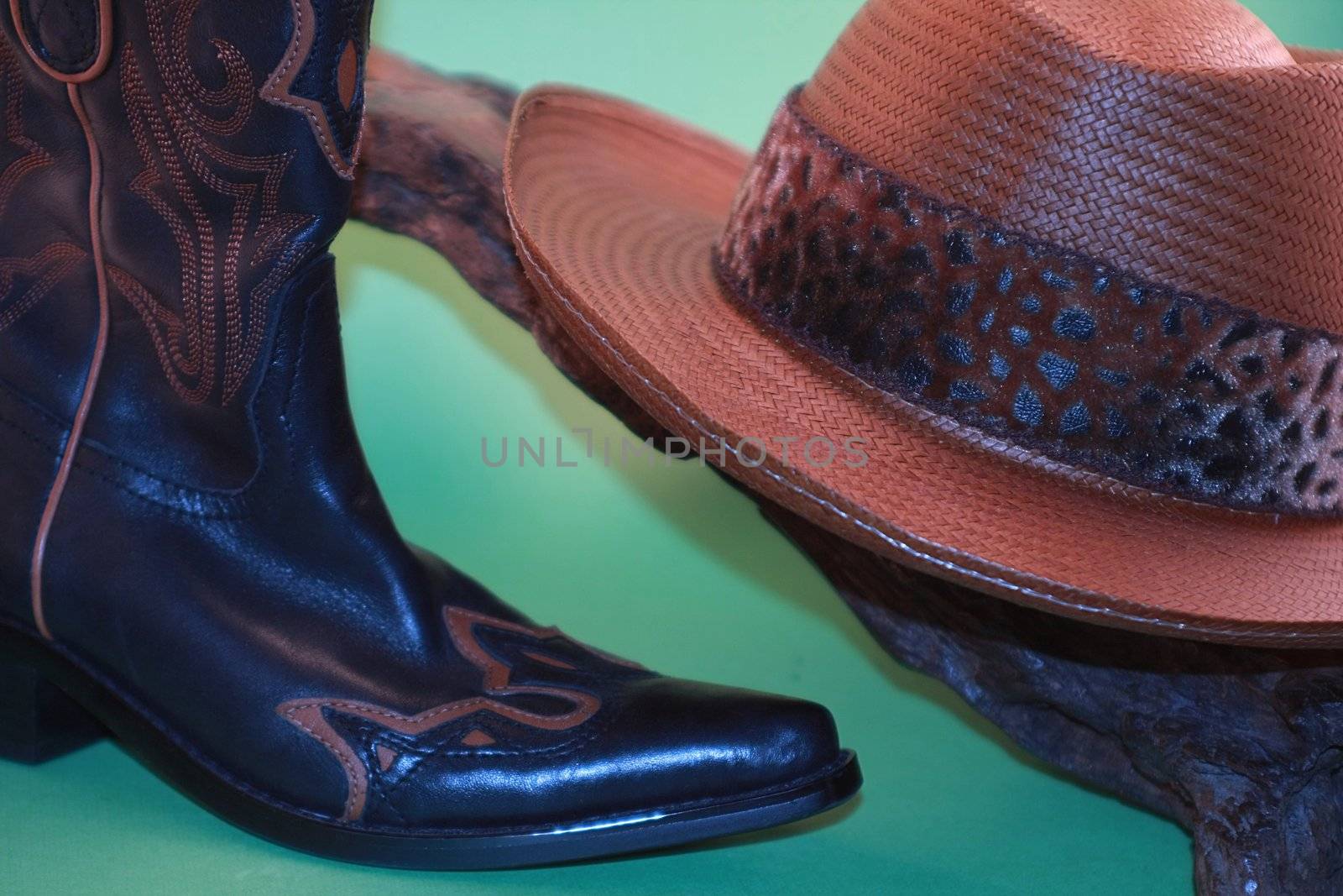 Brown and black cowboy hat and boots on a branch against a green background.