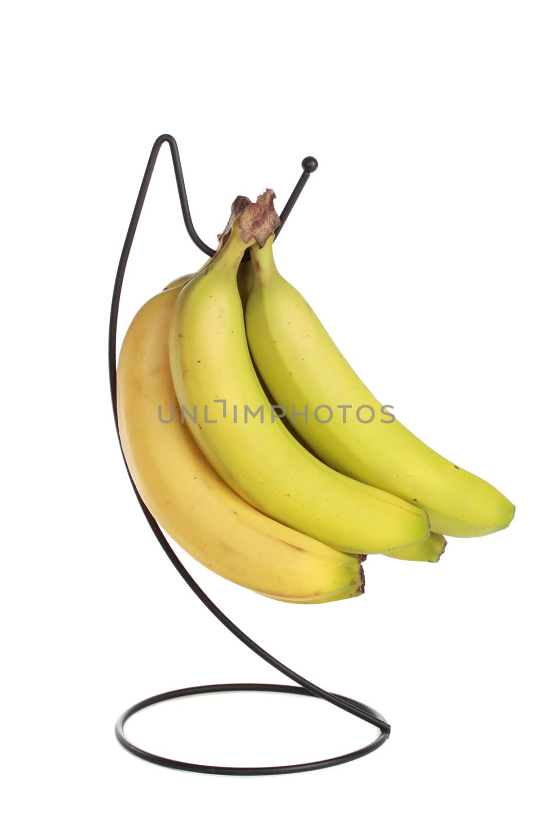 bananas suspended to a metal stand, isolated on white