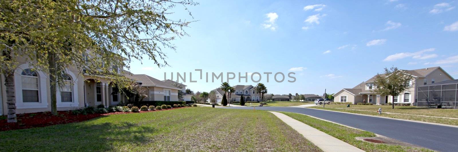 A View of an Estate in Florida