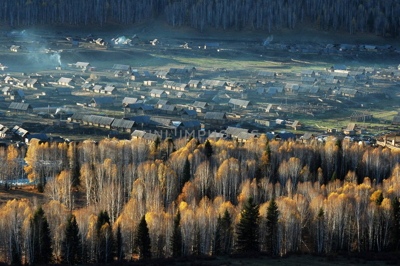 Landscape of a small village with woods in an autumn morning