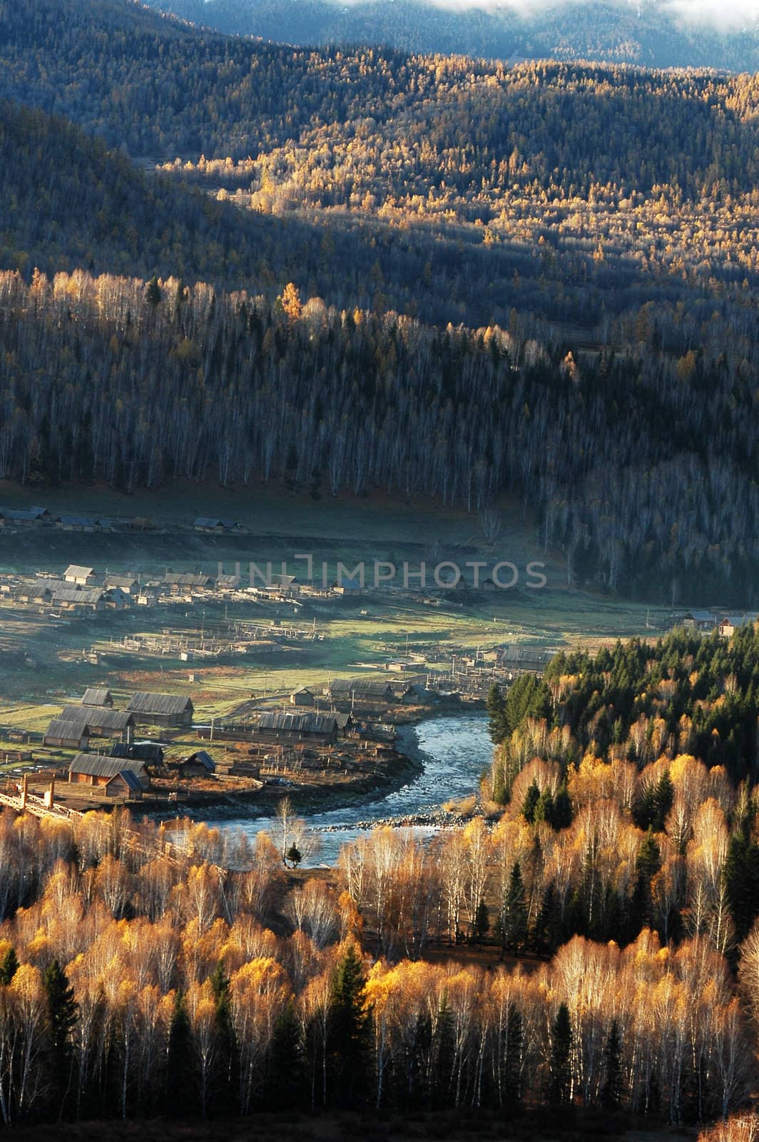 Landscape of a small village with woods in an autumn morning