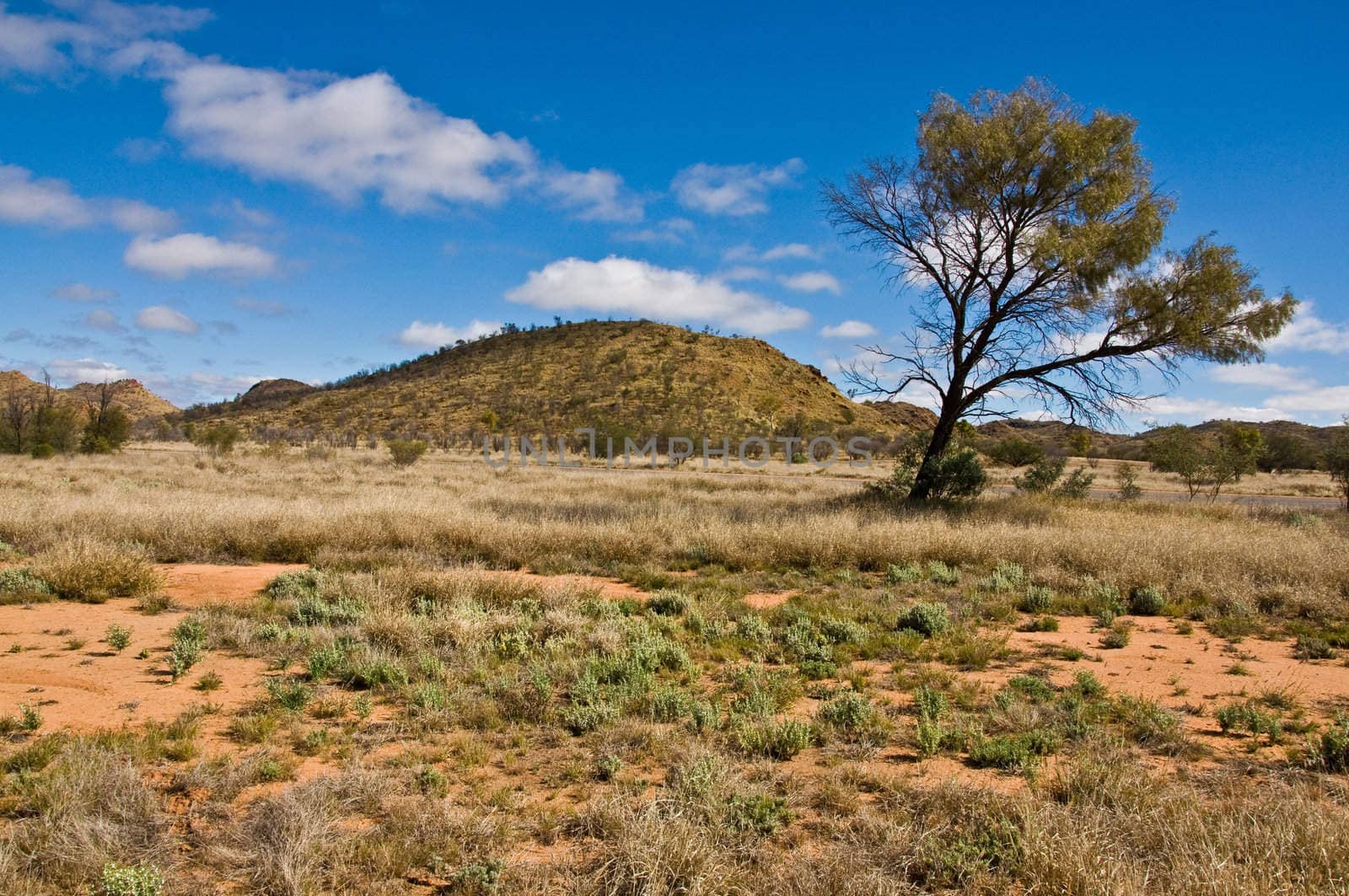 australian landscape by edella