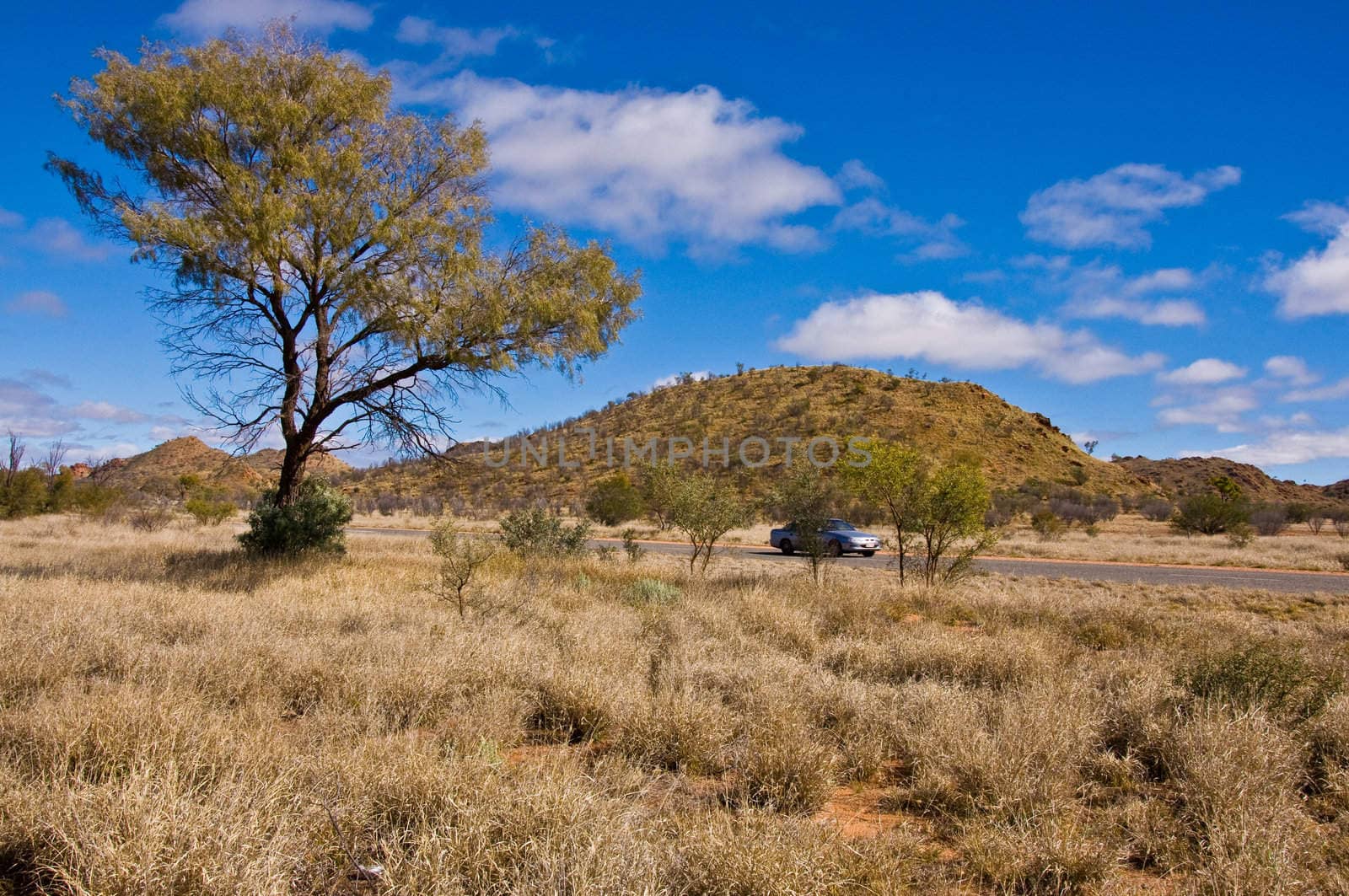 australian landscape by edella