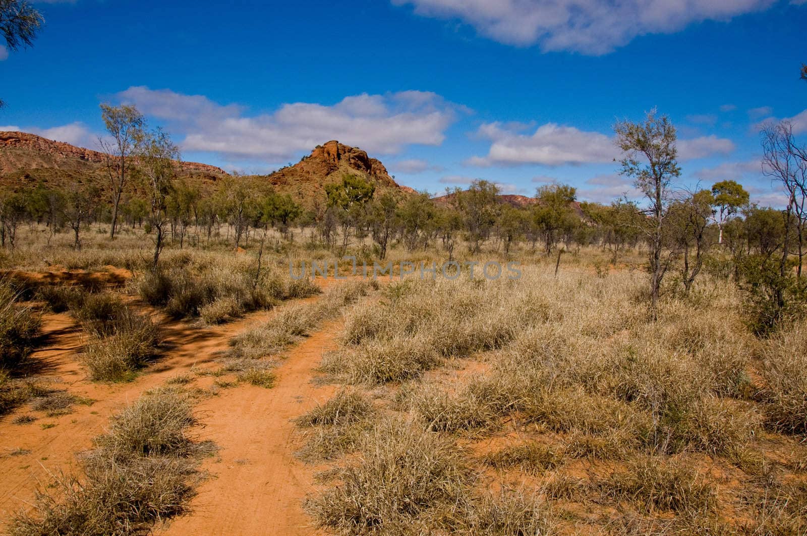 outback australia by edella
